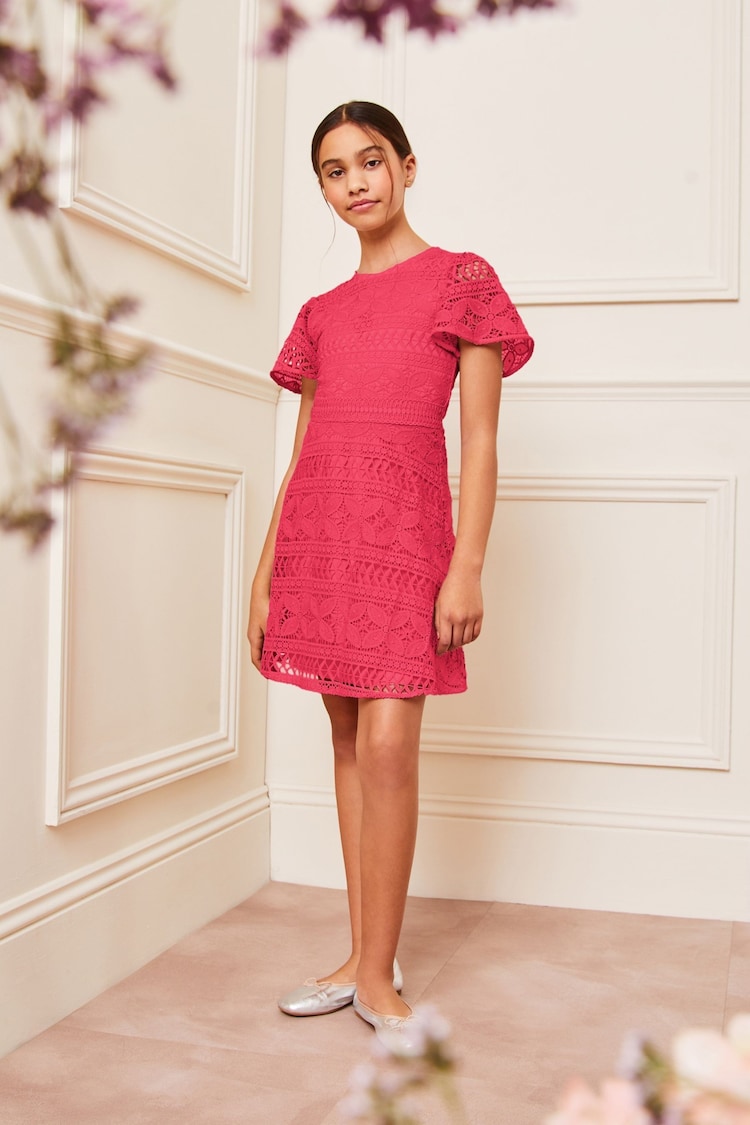 Lipsy Hot Pink Flutter Sleeve Lace Occasion Dress - Image 2 of 4