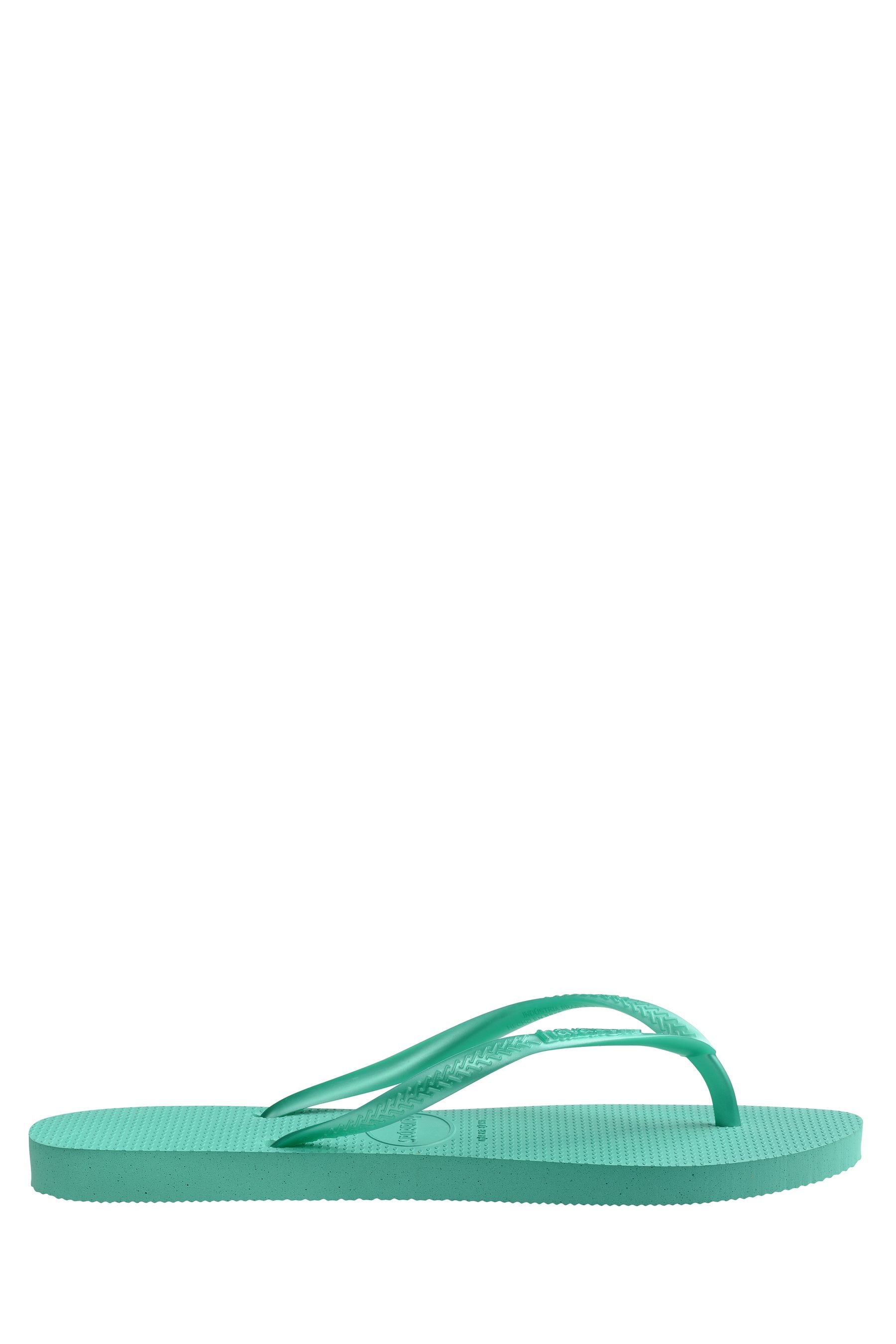 Buy Green Havaianas Slim Flip Flop from Next Ukraine