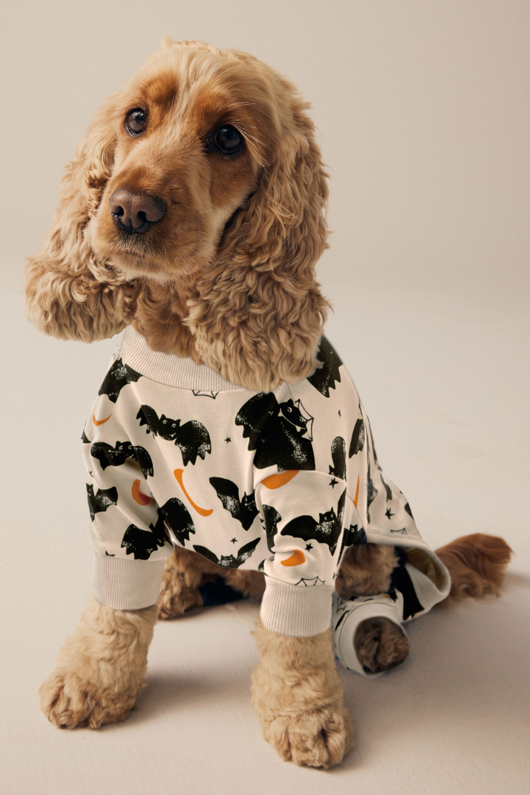 Buy Bat Print Glow in the Dark Halloween Pet Pyjamas from the Next UK online shop