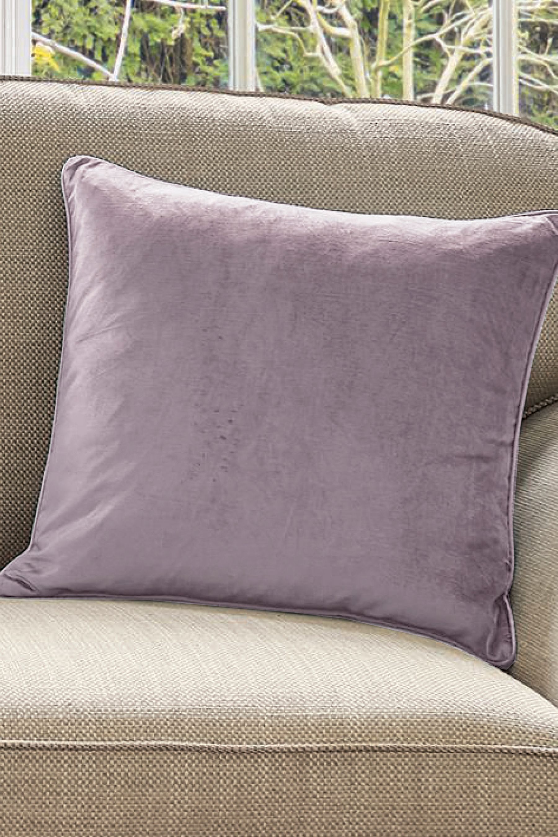 Buy Laura Ashley Purple Nigella Feather Cushion from Next Qatar