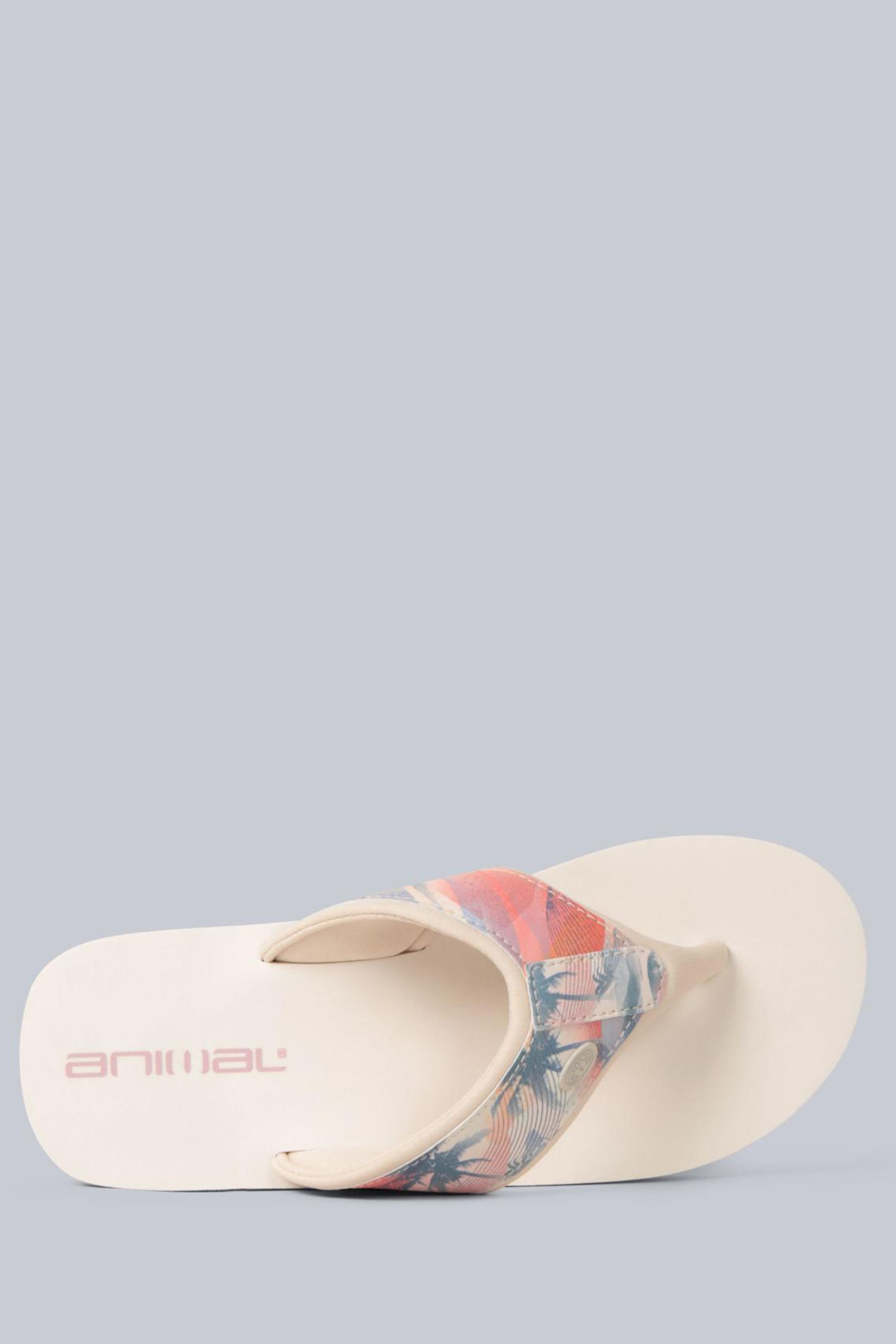 Buy Animal Cream Womens Swish Flip Flops from the Next UK online shop