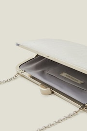 Accessorize Metallic Clutch Bag - 圖片 4，共 4