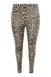 Yours Curve Black Limited Leopard Print Leggings - Image 5 of 5