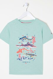 FatFace Green Shark Species T-Shirt - Image 3 of 4