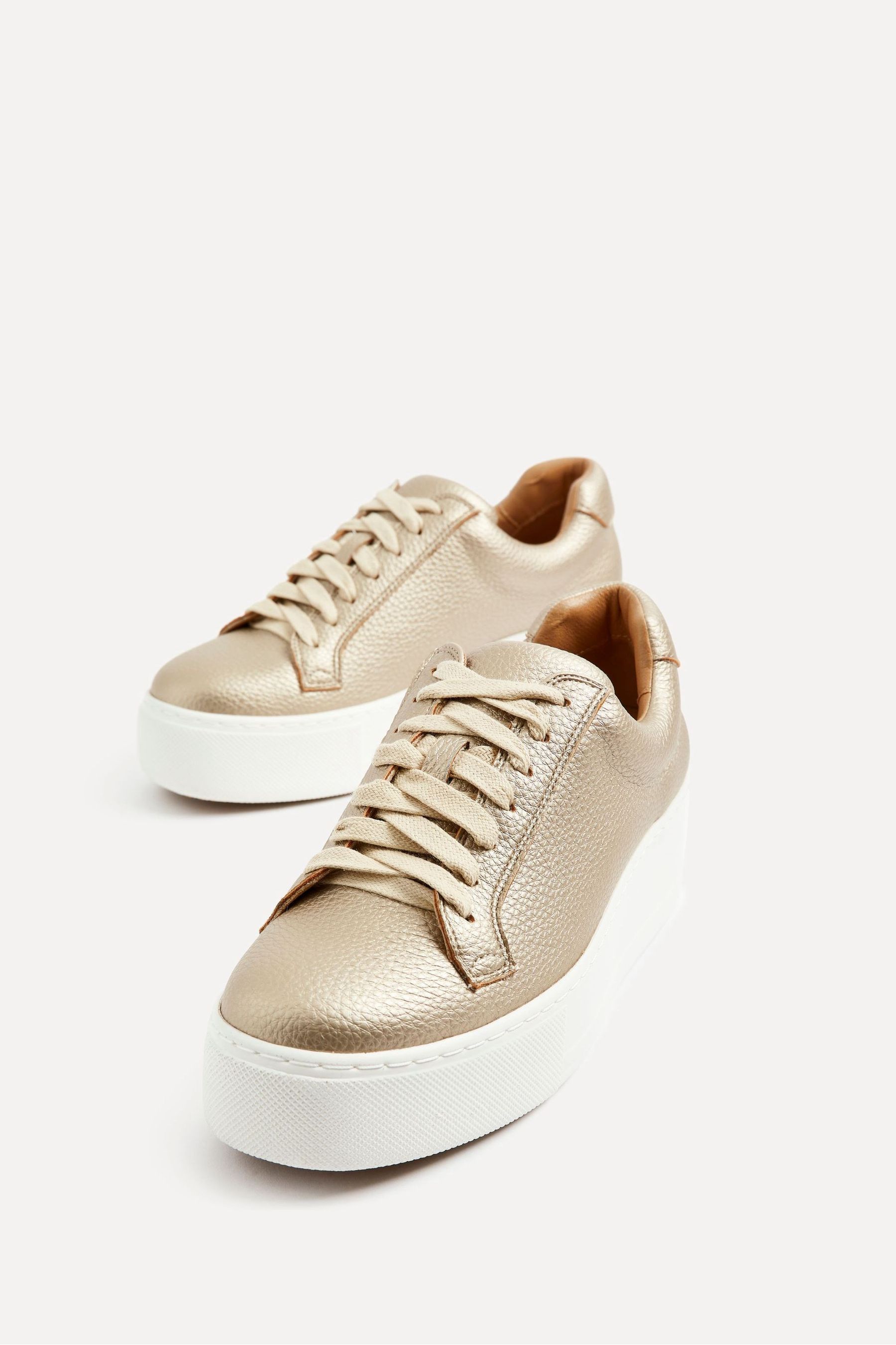 Buy Linzi Gold Twyla Platform Trainers from the Next UK online shop