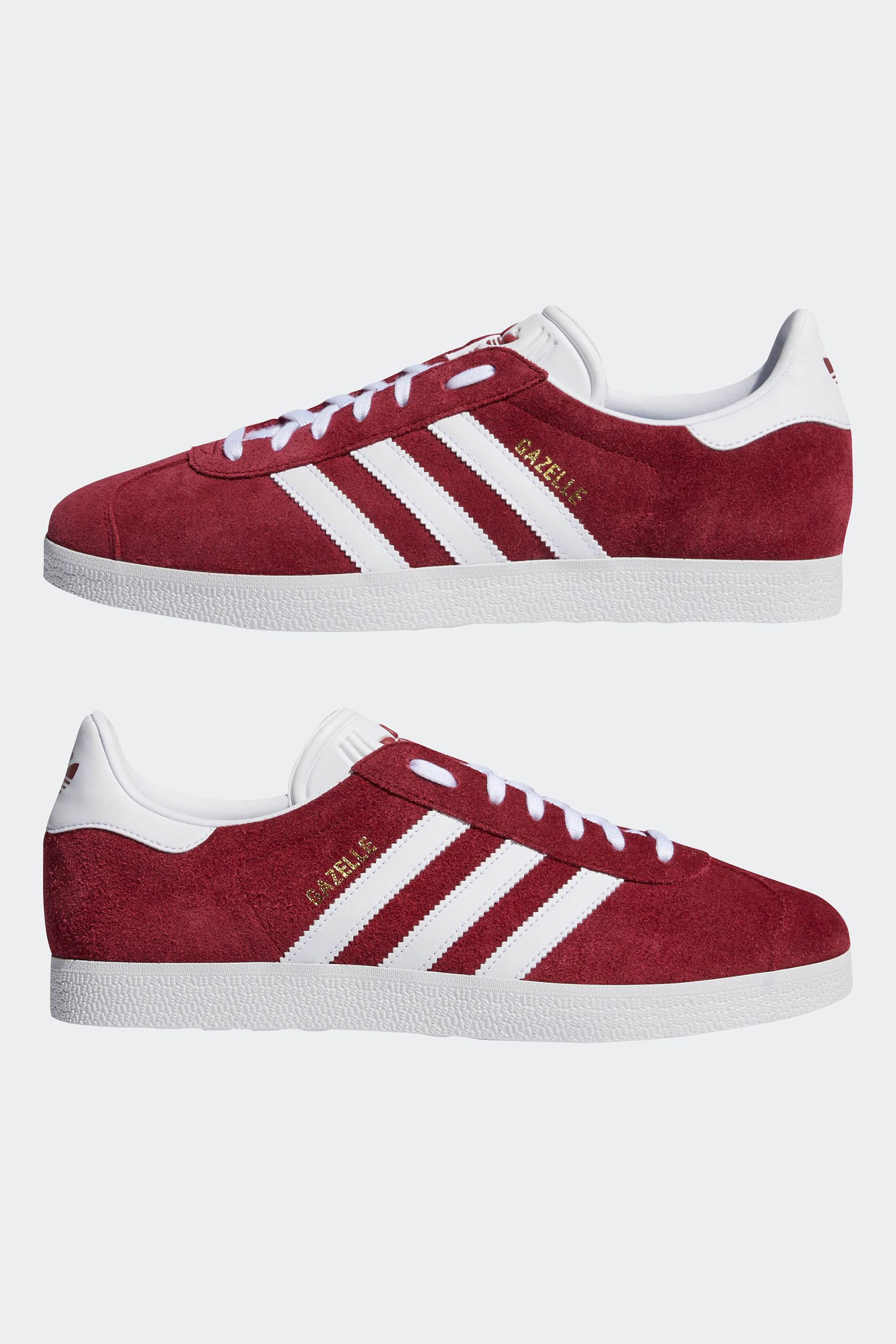 Gazelle burdeos store