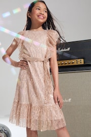 Lipsy Rose Gold Printed Sequin Ruffle Dress (2-16yrs) - Image 1 of 4