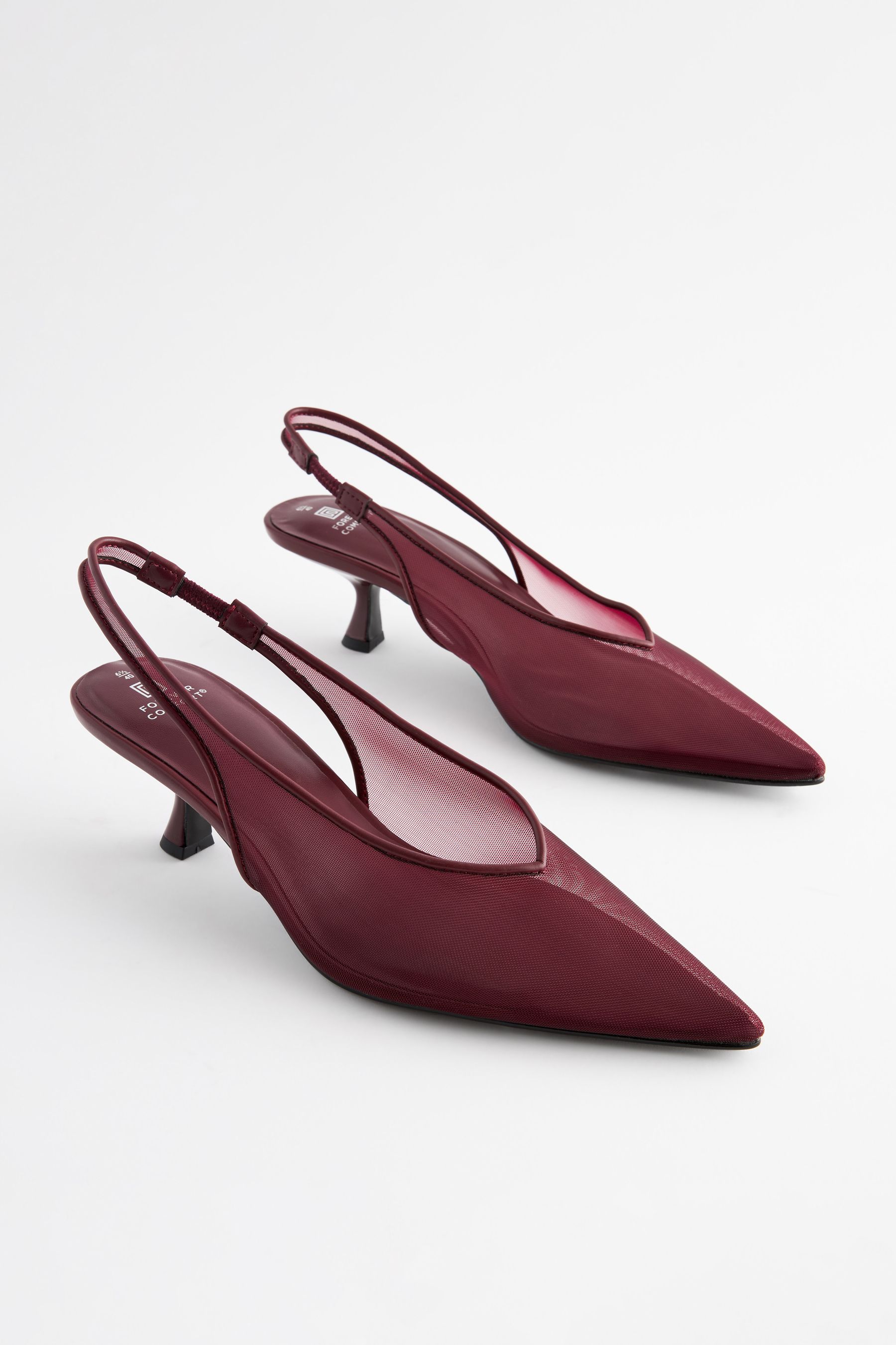 Burgundy kitten deals