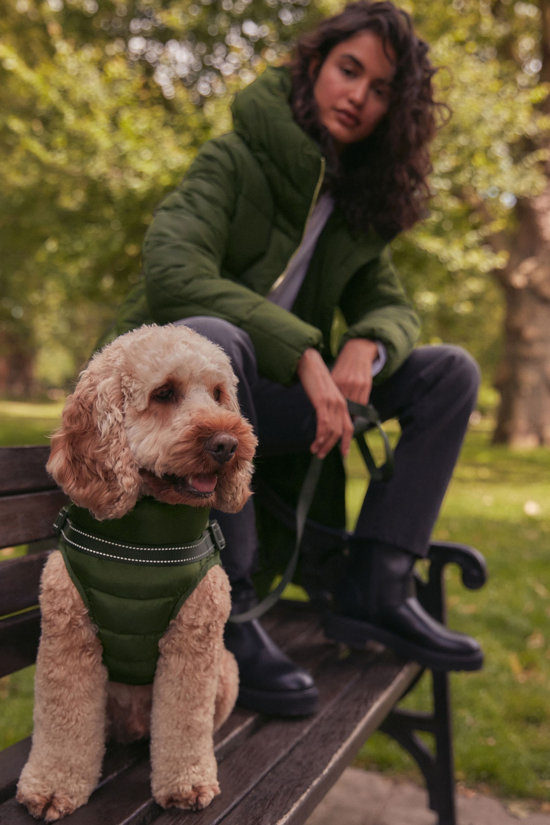 Dog coats next clearance