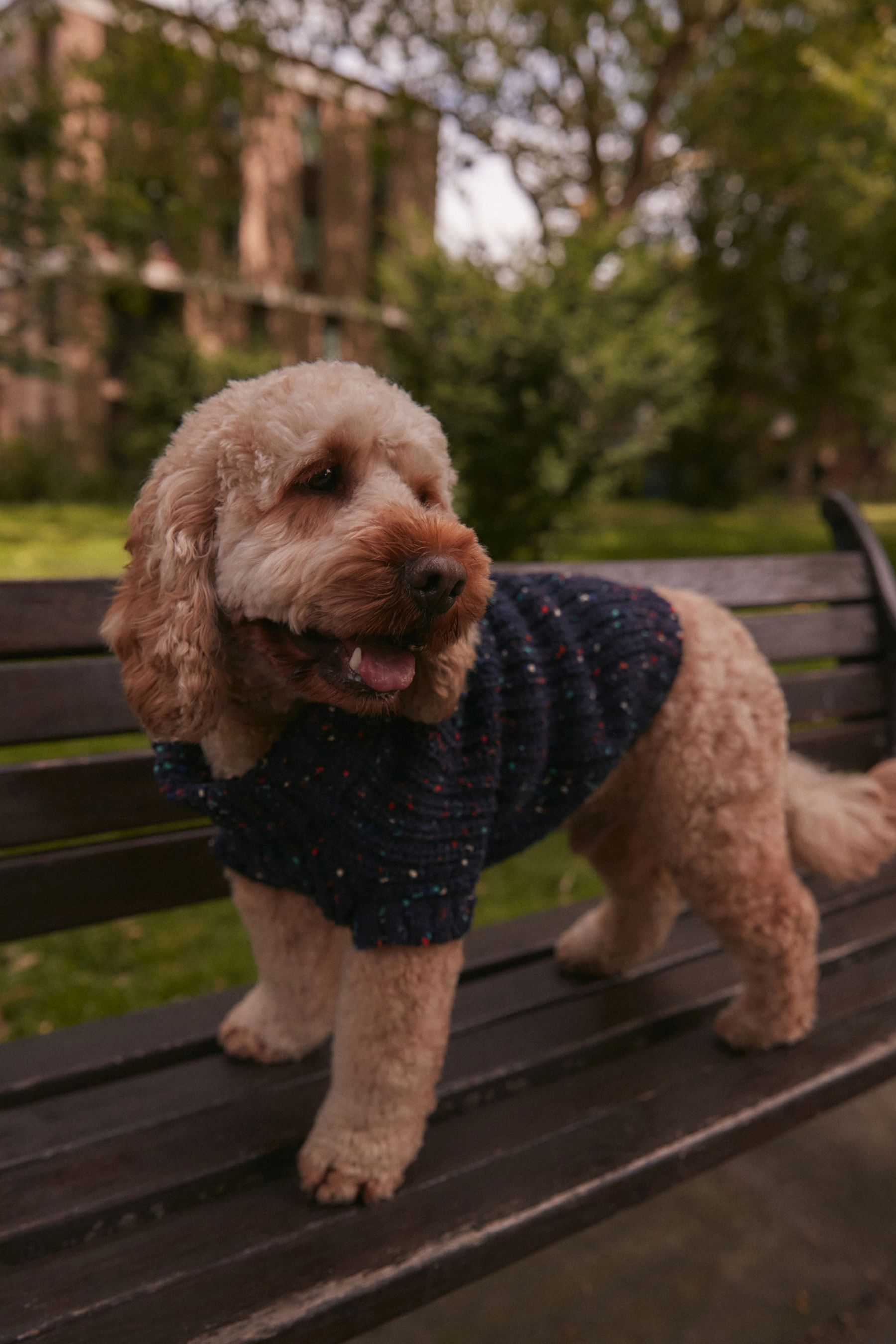 Navy Dog Jumper