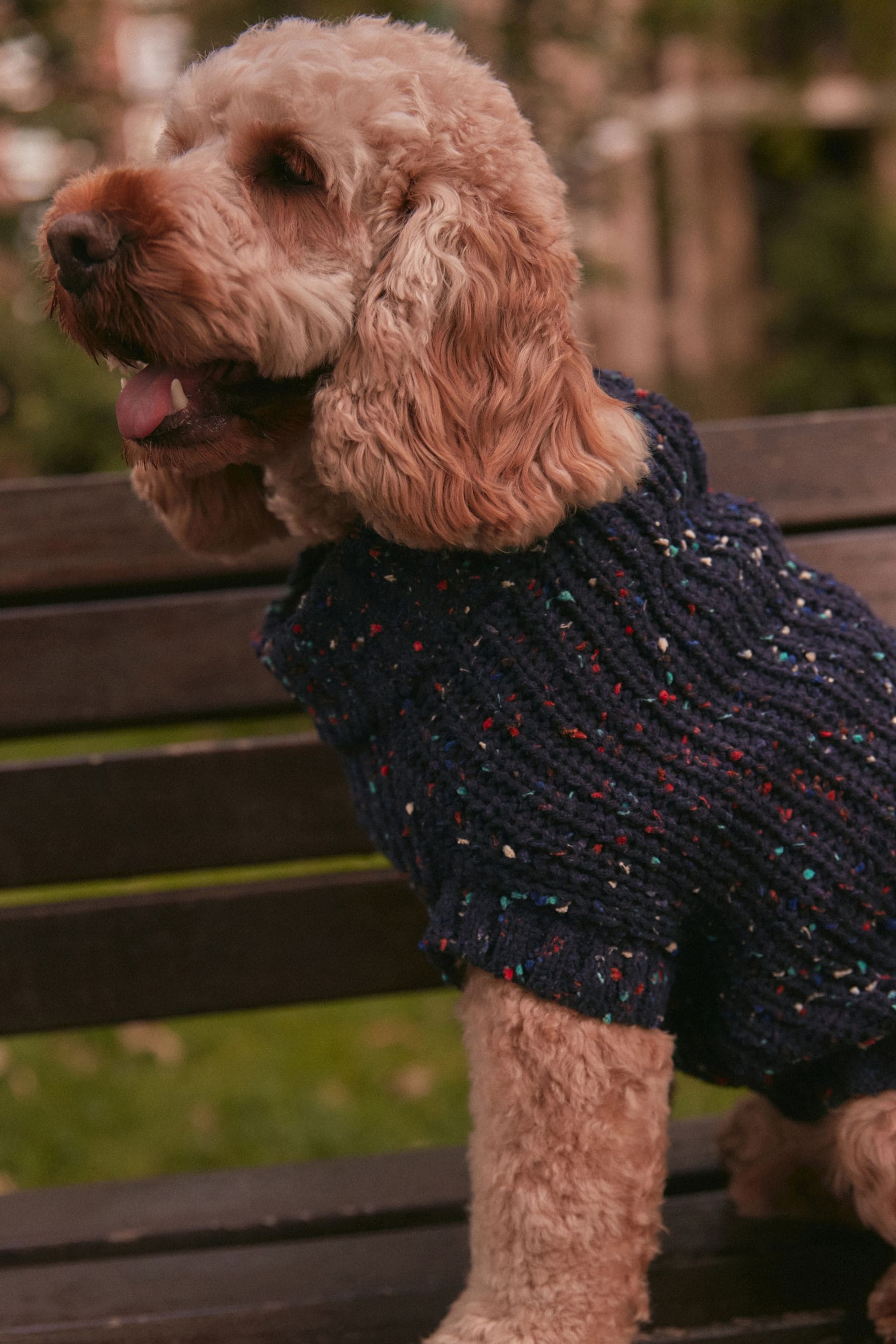 Dog jumpers next deals
