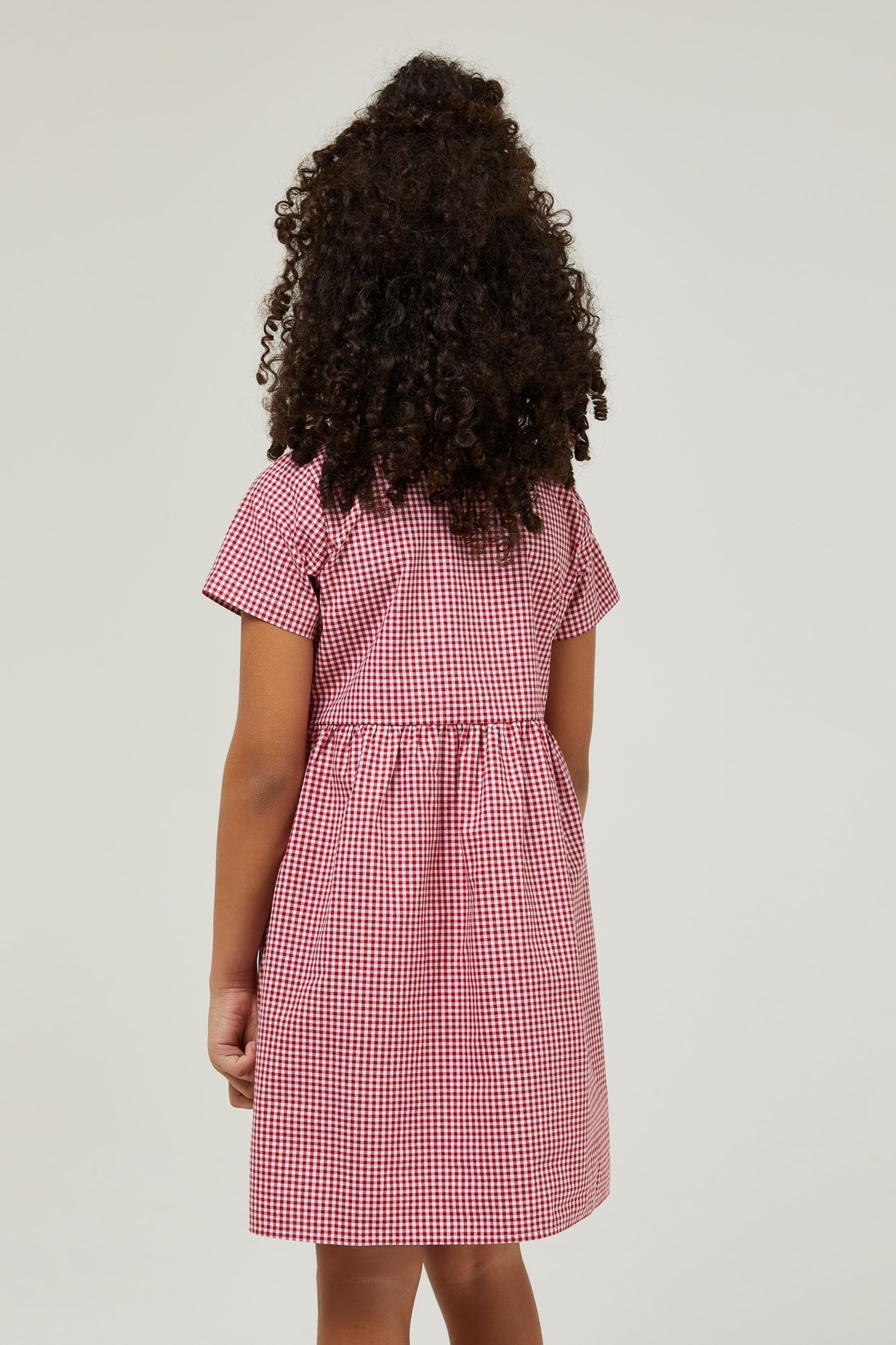 Trutex Red Gingham 2 Pack Button Front School Summer Dress - Image 3 of 6