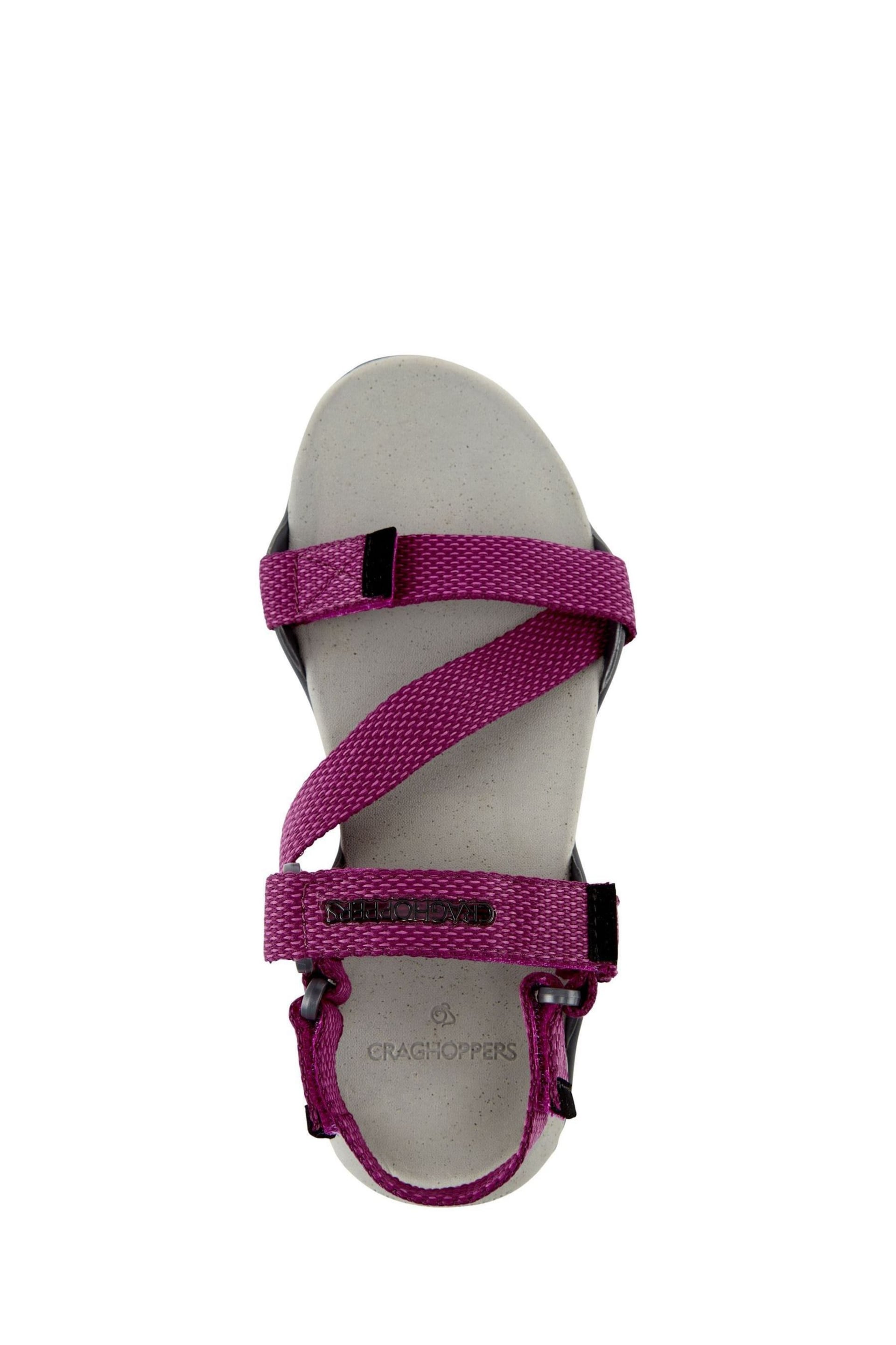 Craghoppers Pink/Purple Locke Sandals - Image 3 of 6