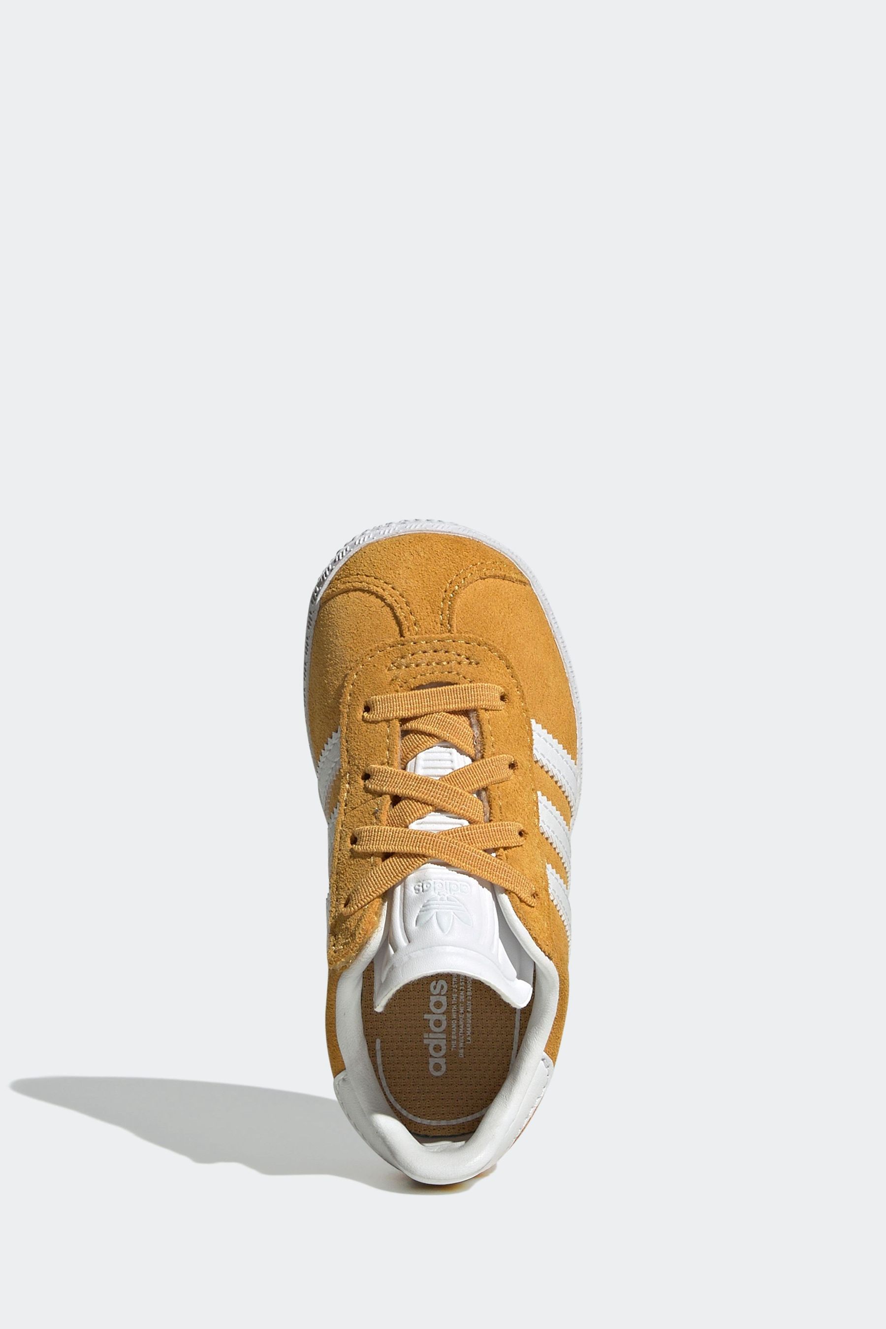 Gazelle ocre outlet