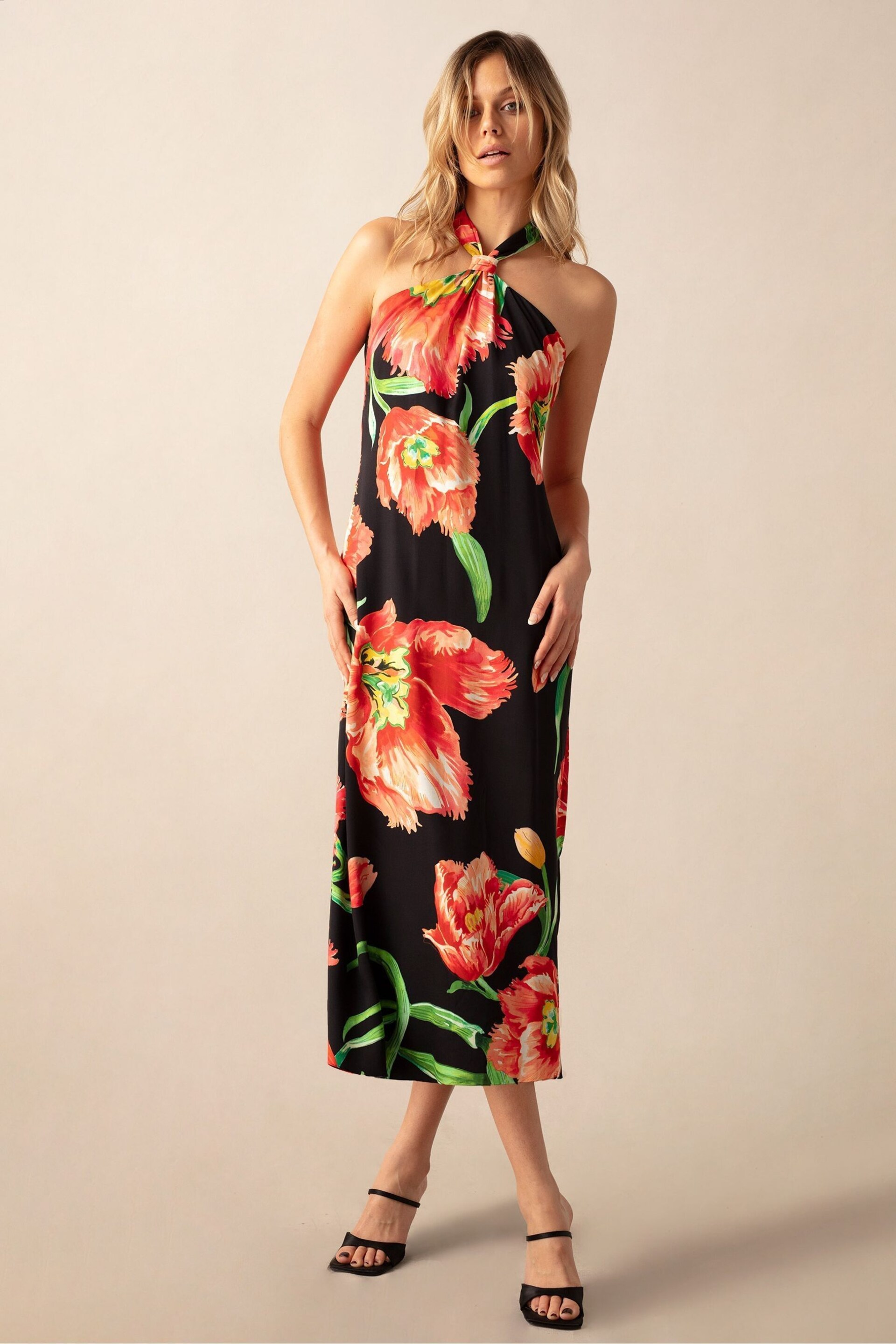 Ro&Zo Lyra Black Floral Halterneck Dress - Image 1 of 4