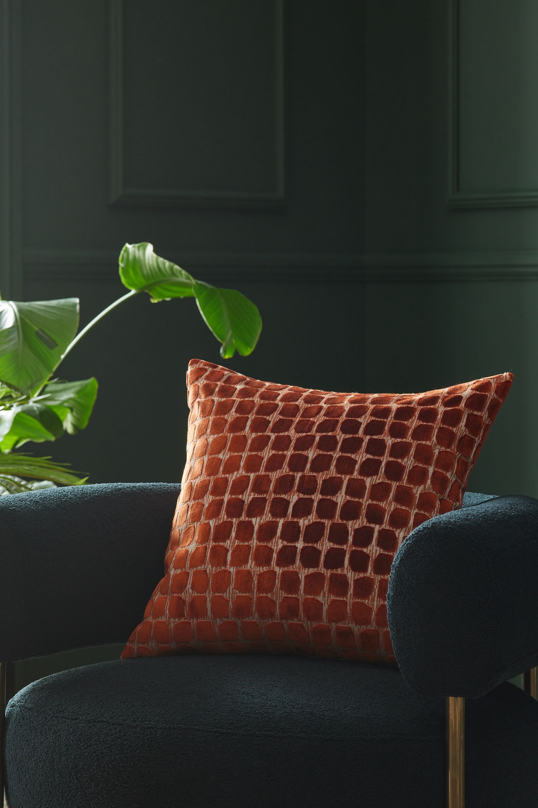 Buy Orange Velvet Spot Cushion from Next Luxembourg