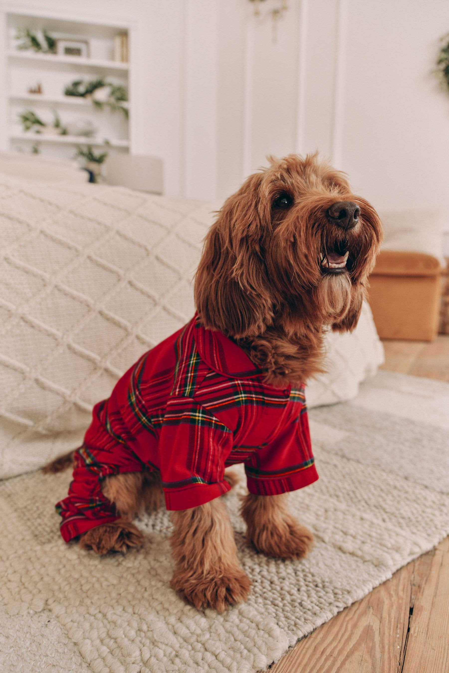 Dog flannel pajamas sales