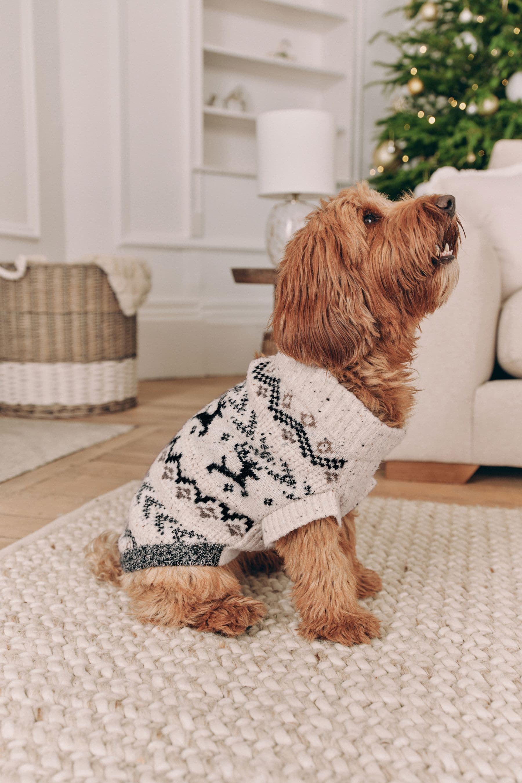 Buy Black White Christmas Dog Jumper from the Next UK online shop