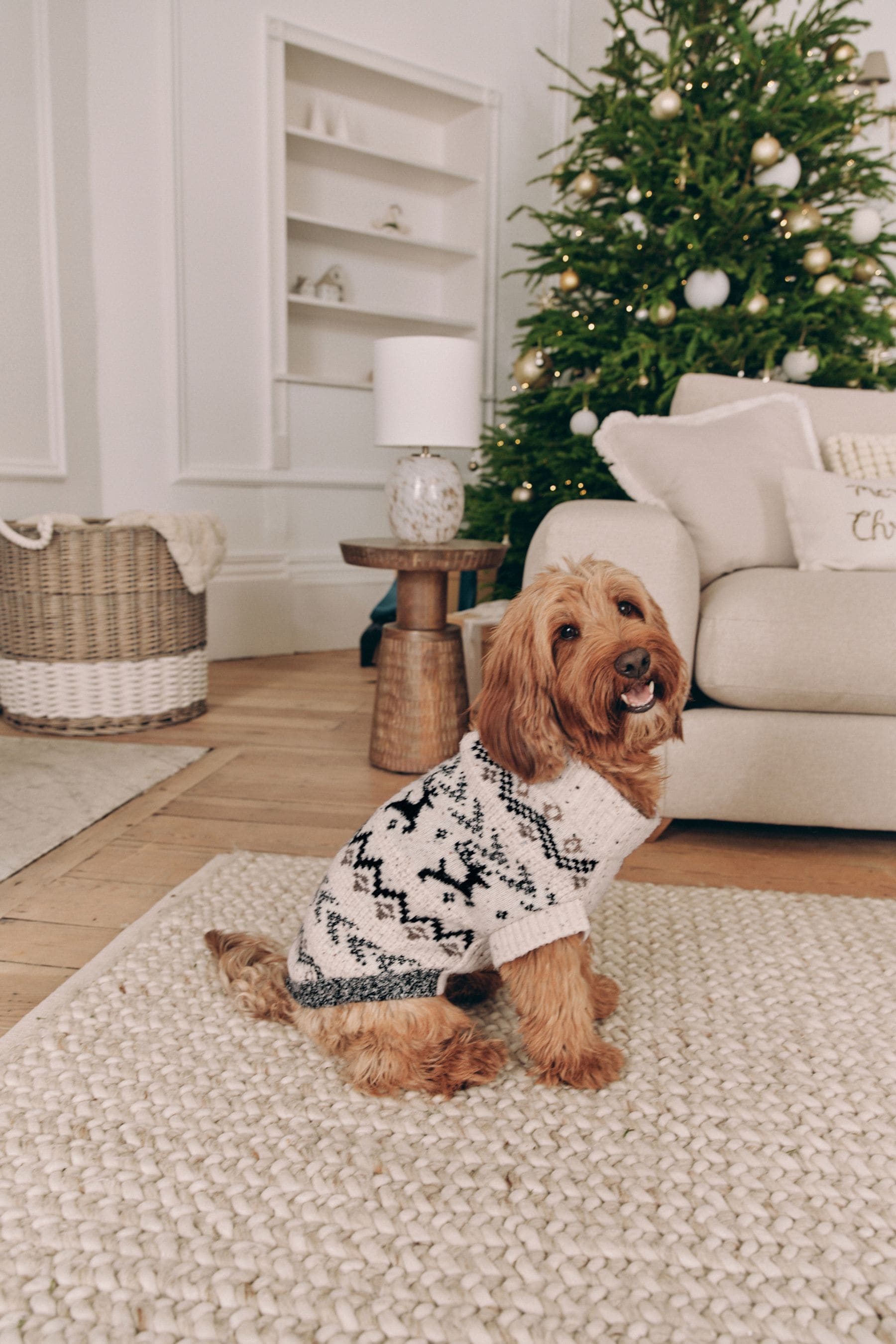 Buy Black White Christmas Dog Jumper from the Next UK online shop