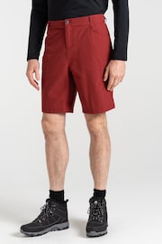 Dare 2b Red Tuned In II Walking Shorts - Image 2 of 5