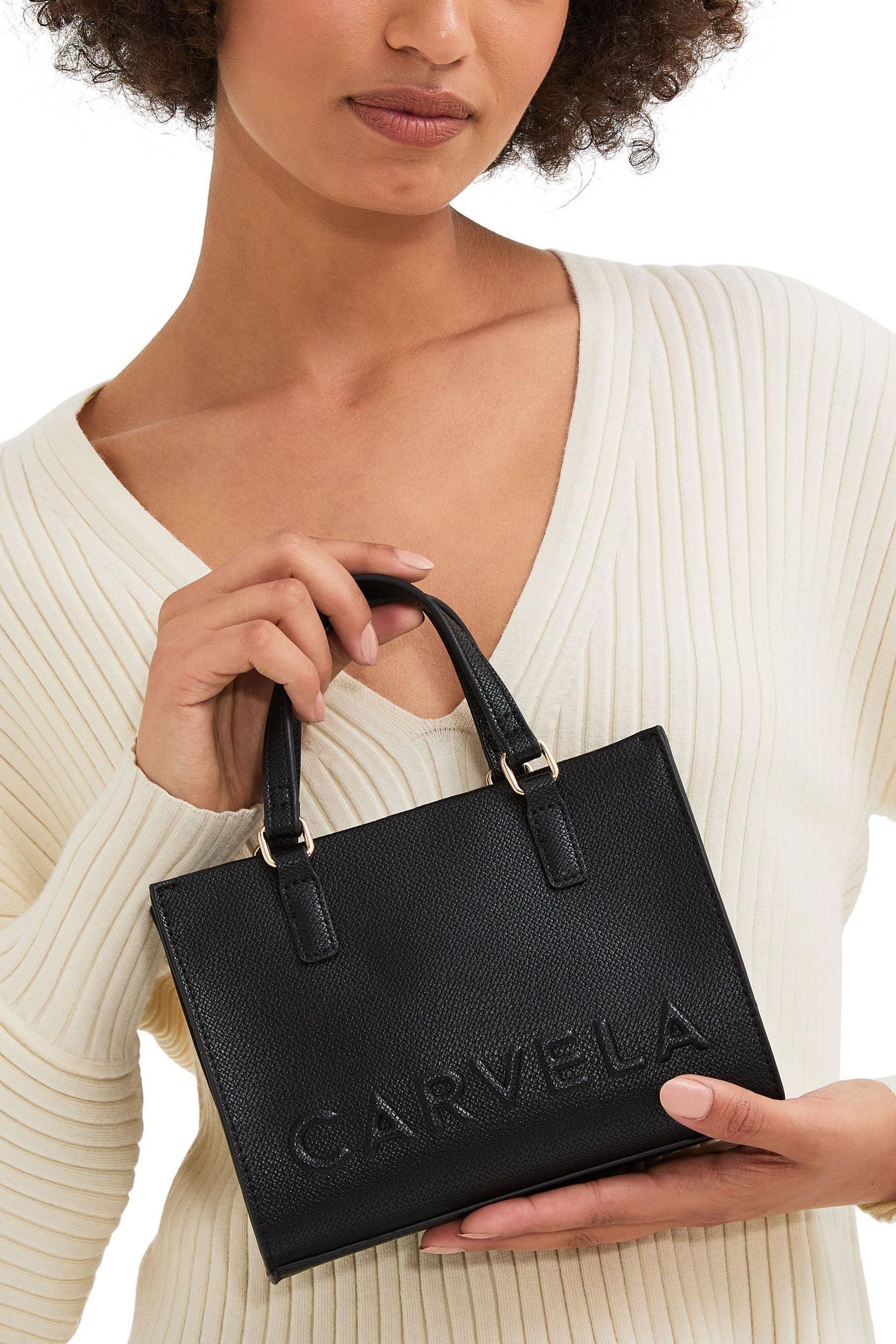 Carvela Frame Tote Mini Bag