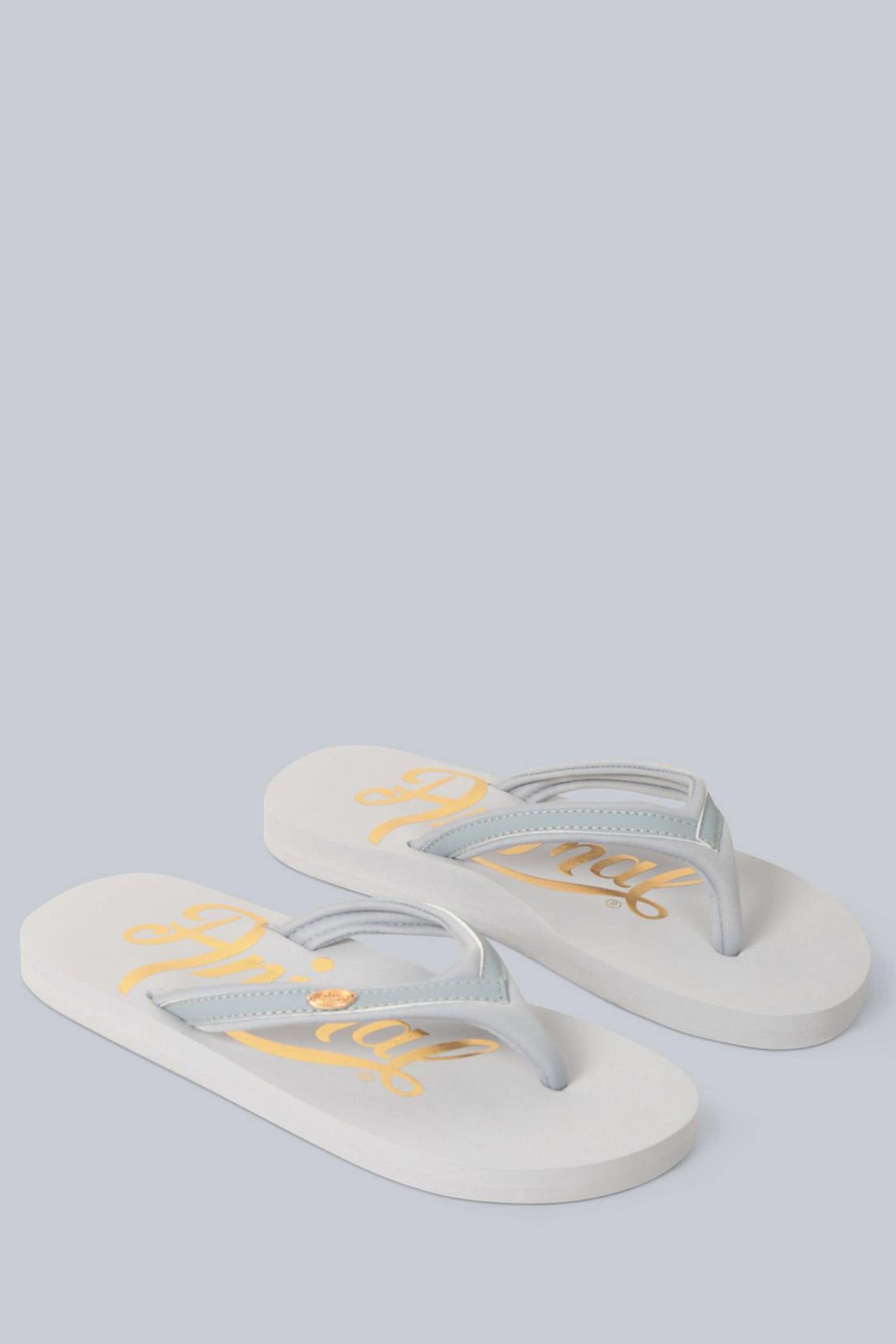 Buy Animal Grey Womens Slim Swish Flip Flops from Next Luxembourg