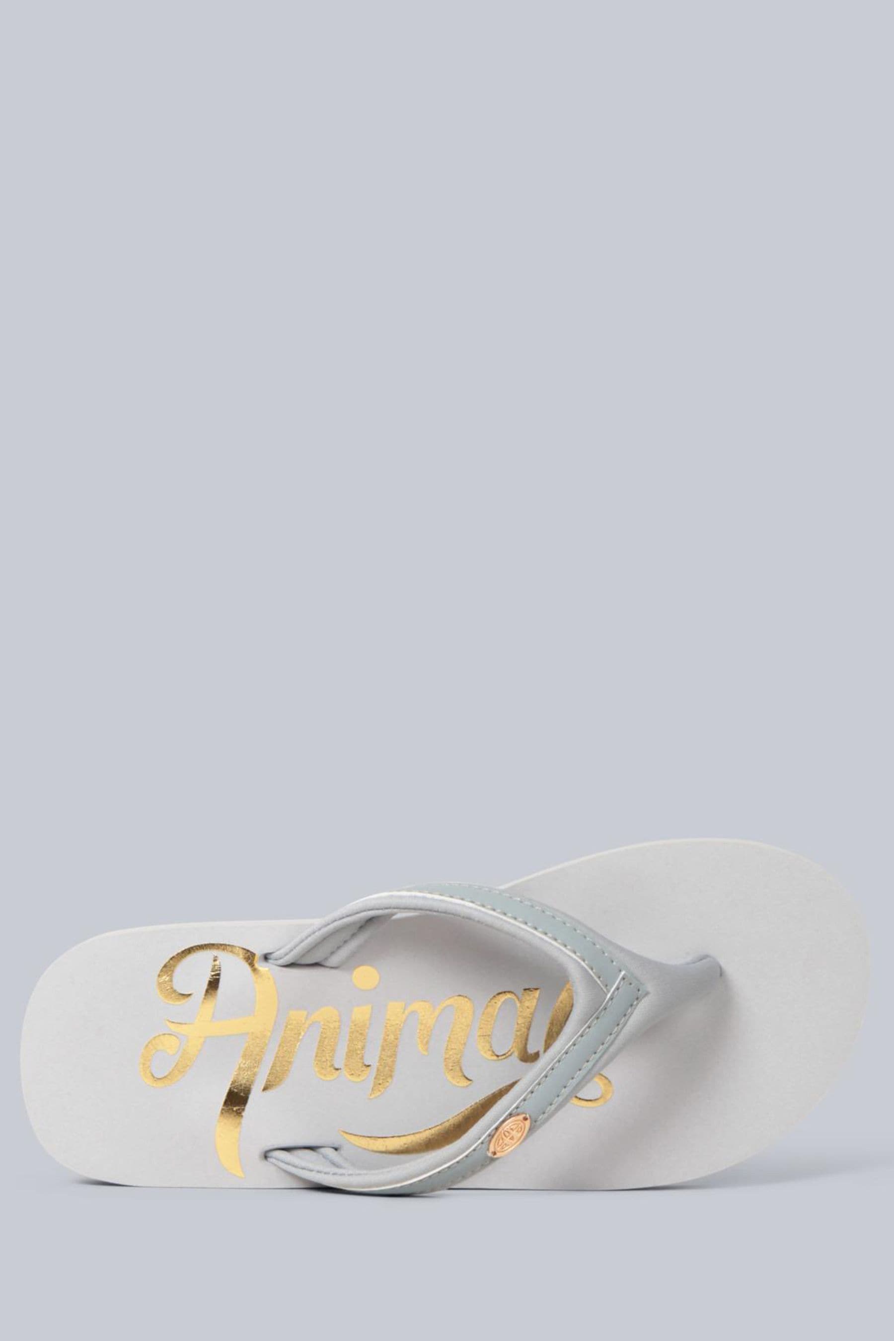 Buy Animal Grey Womens Slim Swish Flip Flops from Next Luxembourg