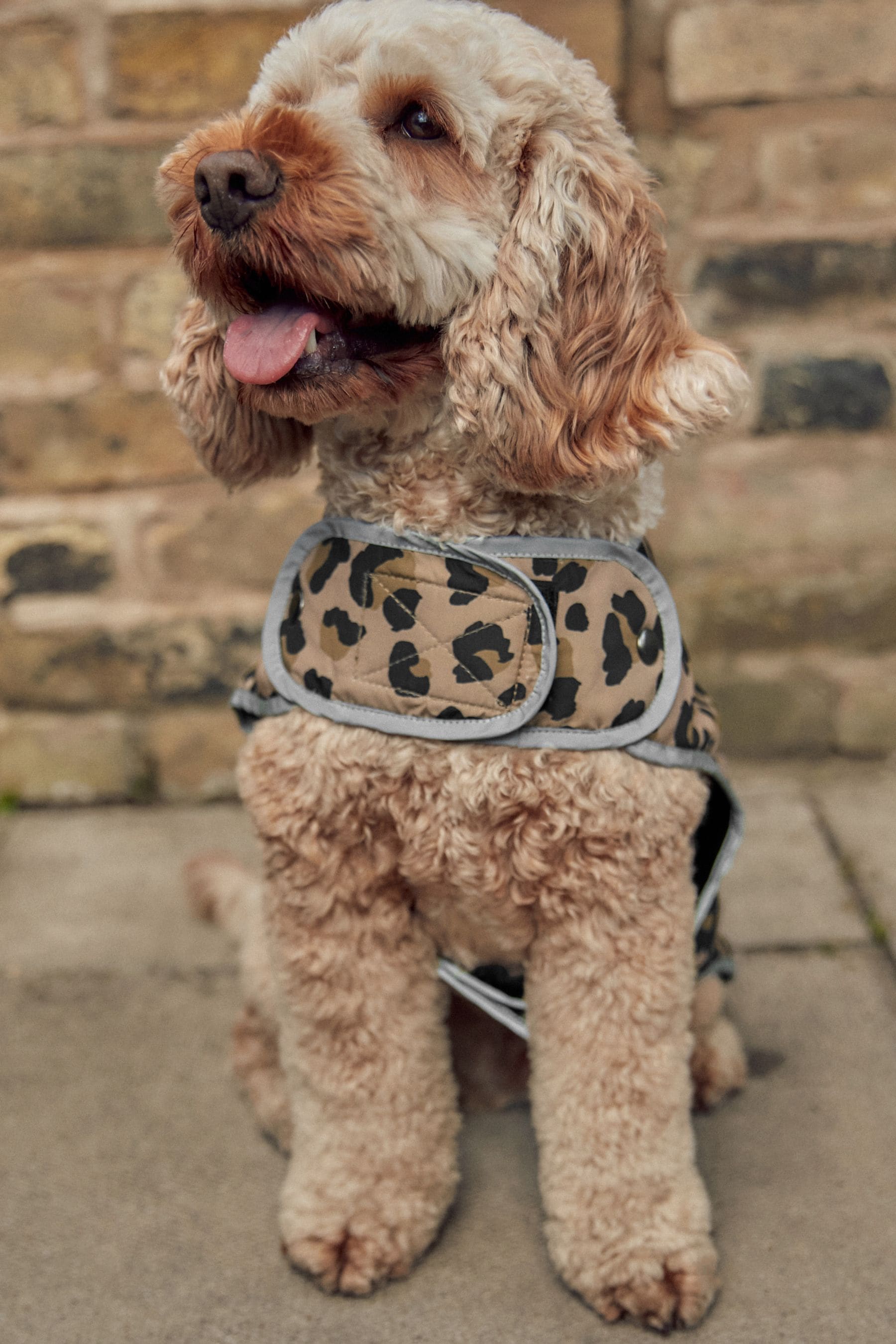 Buy Leopard Print Waterproof Jacket from the Next UK online shop