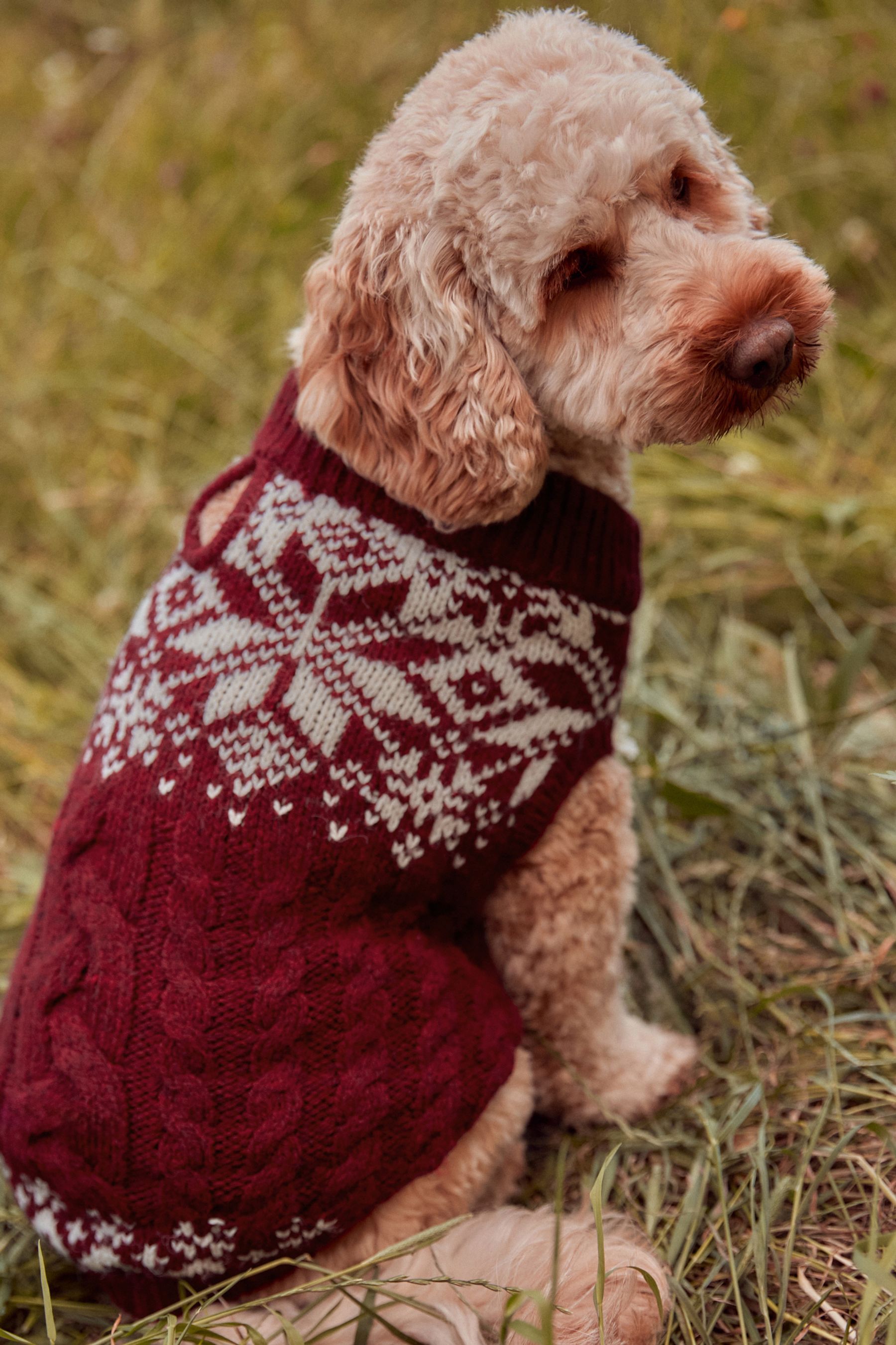 Buy Red Fairisle Christmas Dog Jumper from the Next UK online shop