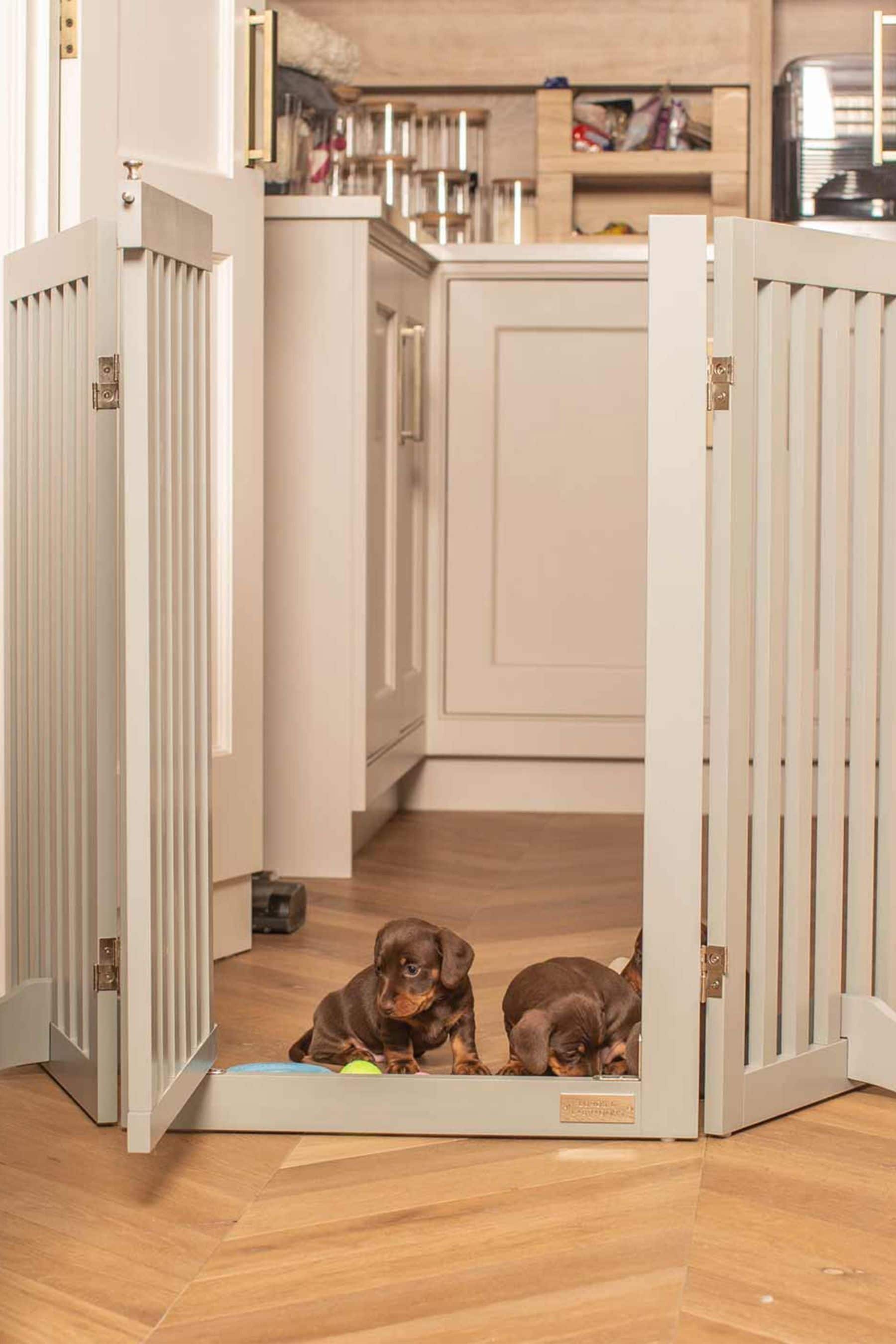 Grey dog gate cheap