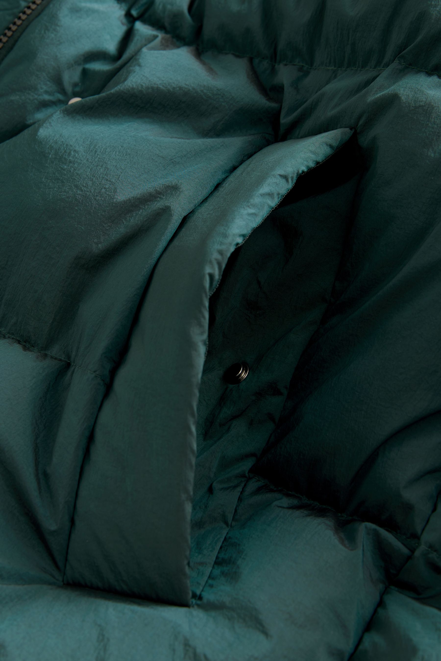Buy Green Premium Real Down Filled Padded Jacket from Next Luxembourg