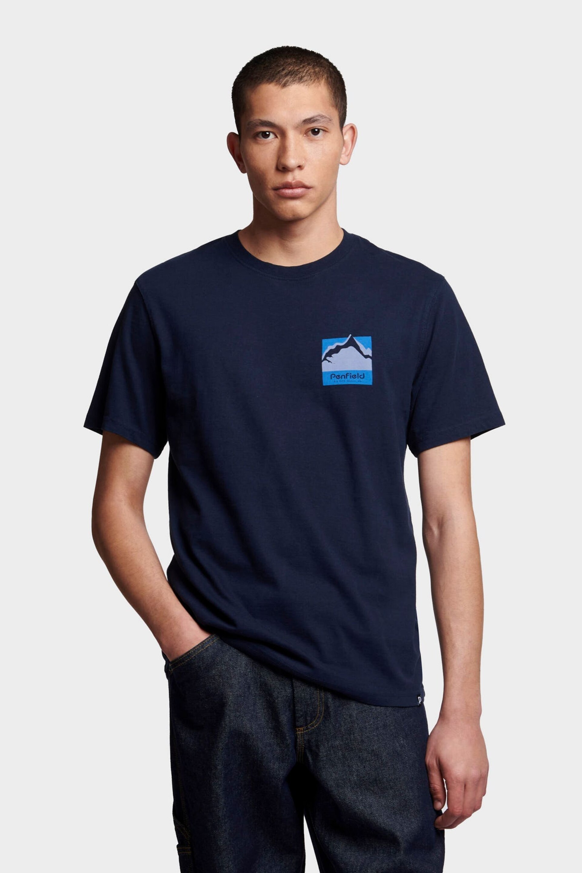 Penfield Mens Relaxed Fit Mountain Scene Back Graphic T-Shirt - Image 1 of 7