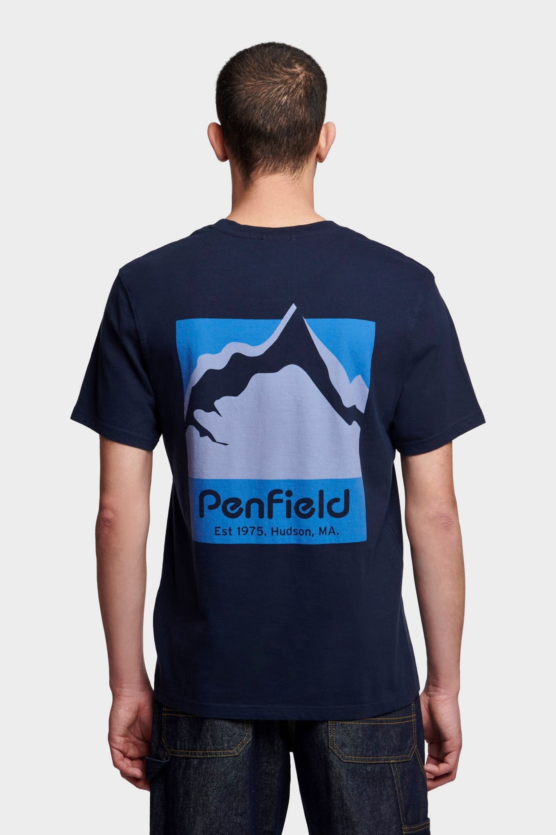 Penfield Mens Relaxed Fit Mountain Scene Back Graphic T-Shirt - Image 2 of 7