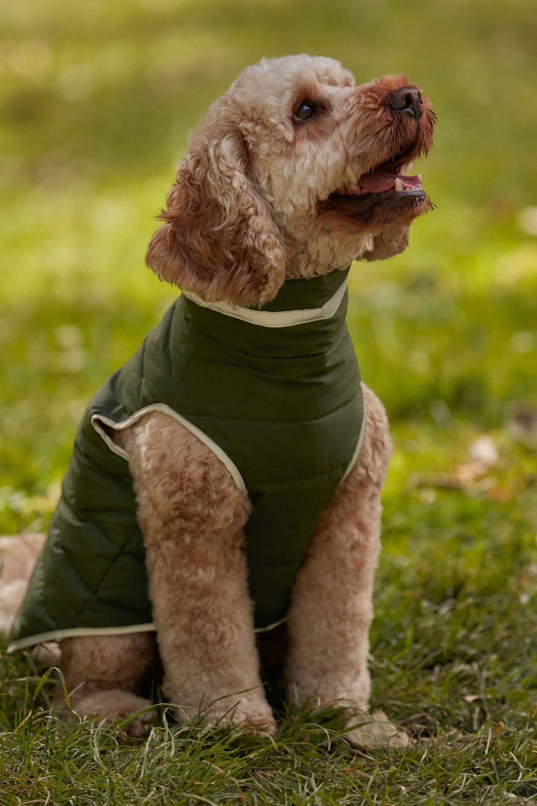 Green Orange Reversible Padded Dog Coat