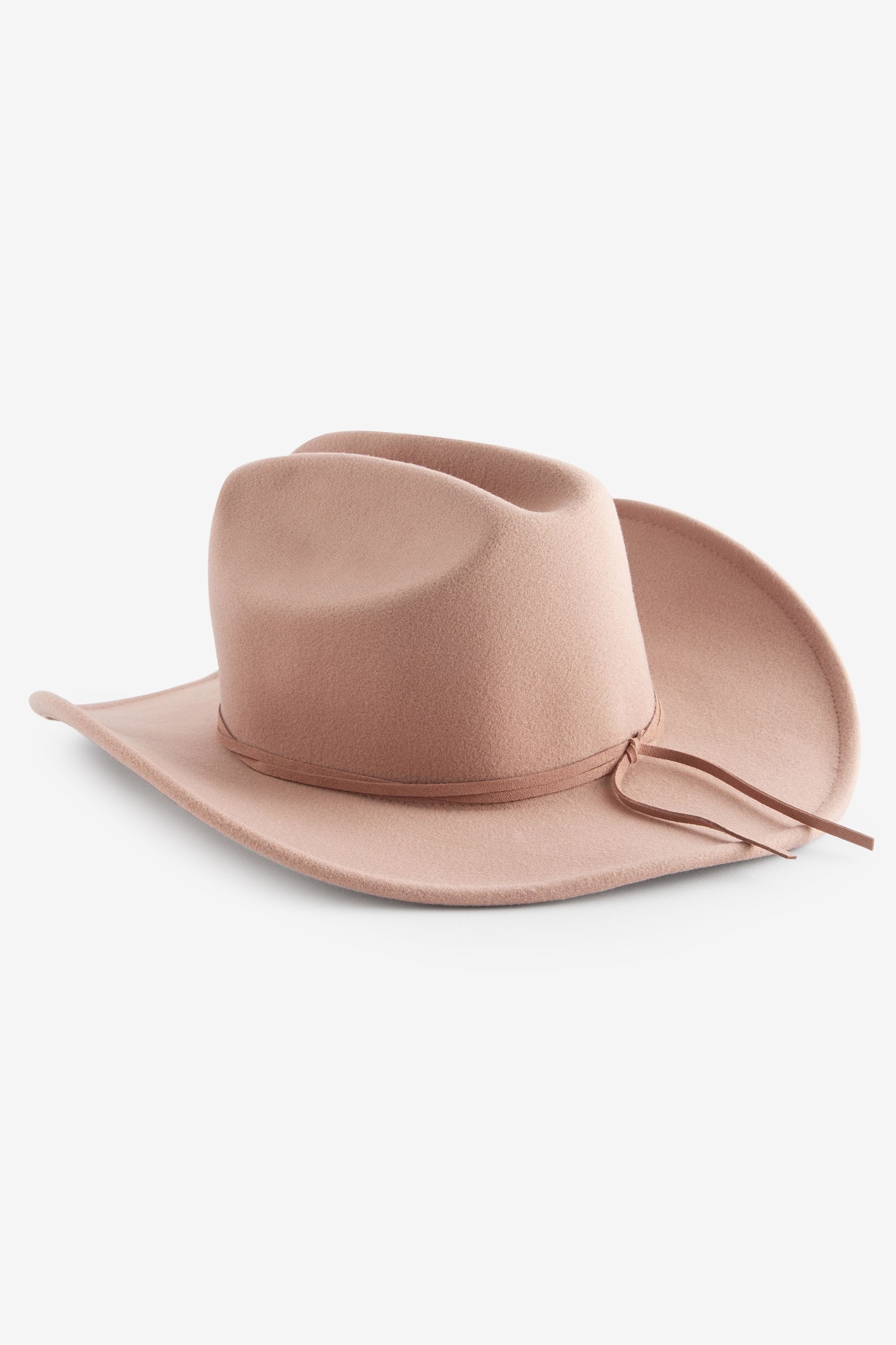 Brown felt cowboy hat online