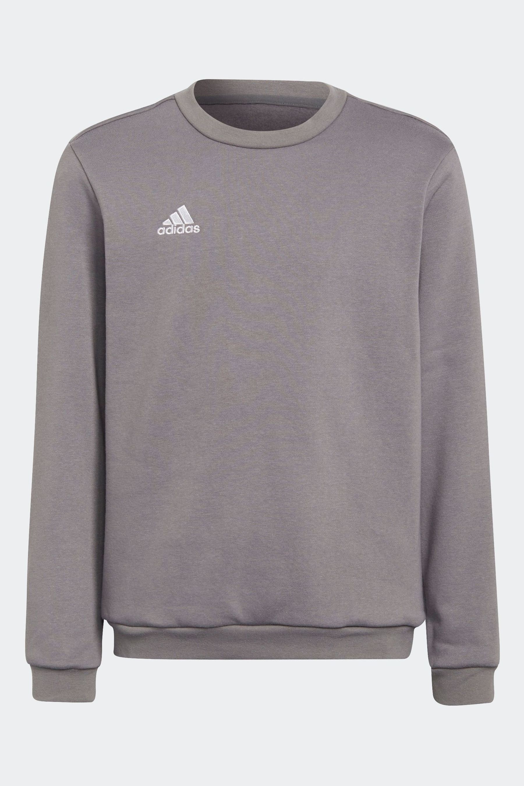 Buy adidas Grey Entrada 22 Sweatshirt from Next Luxembourg
