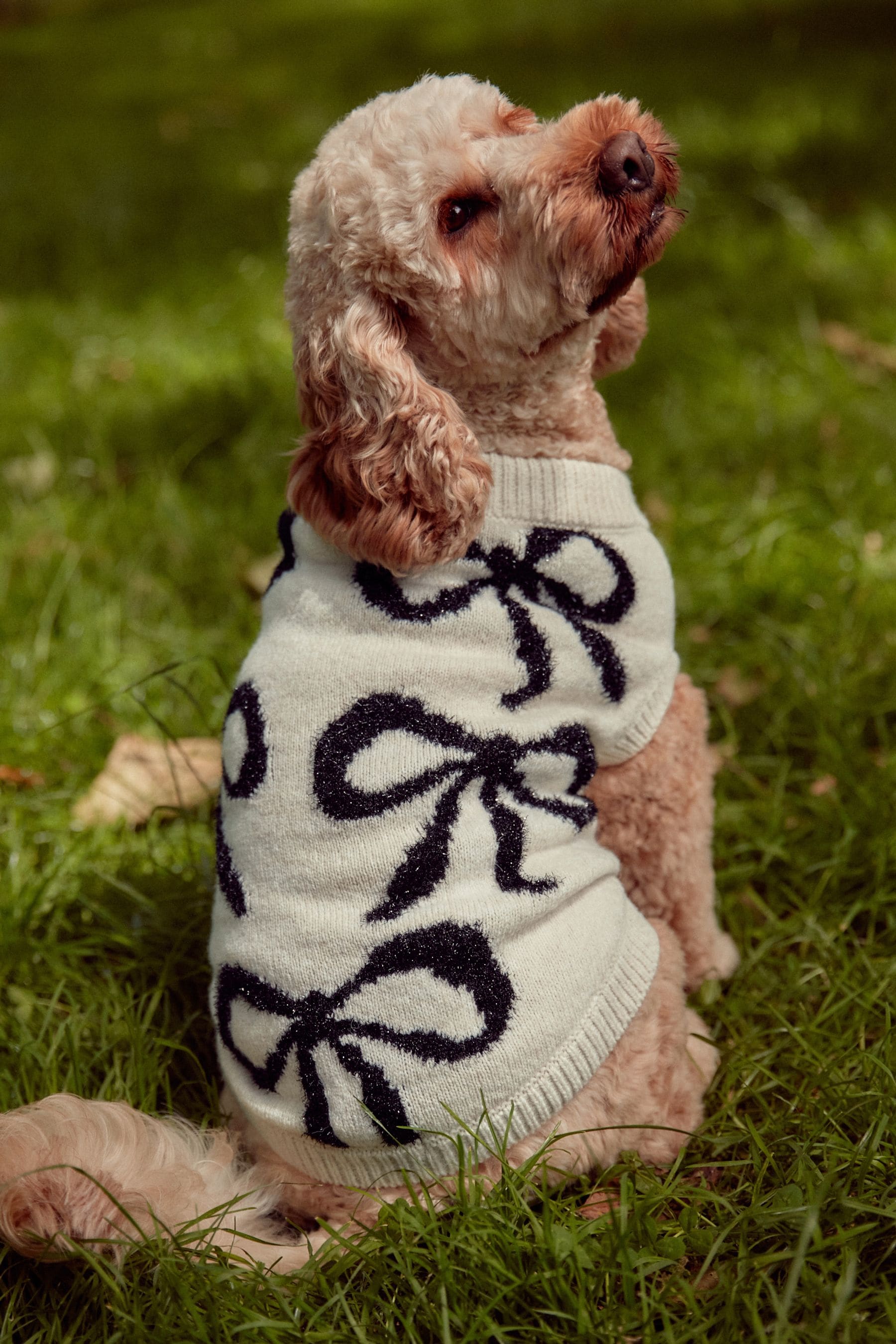 Buy White and Black Tinsel Bow Christmas Dog Jumper from the Next UK online shop