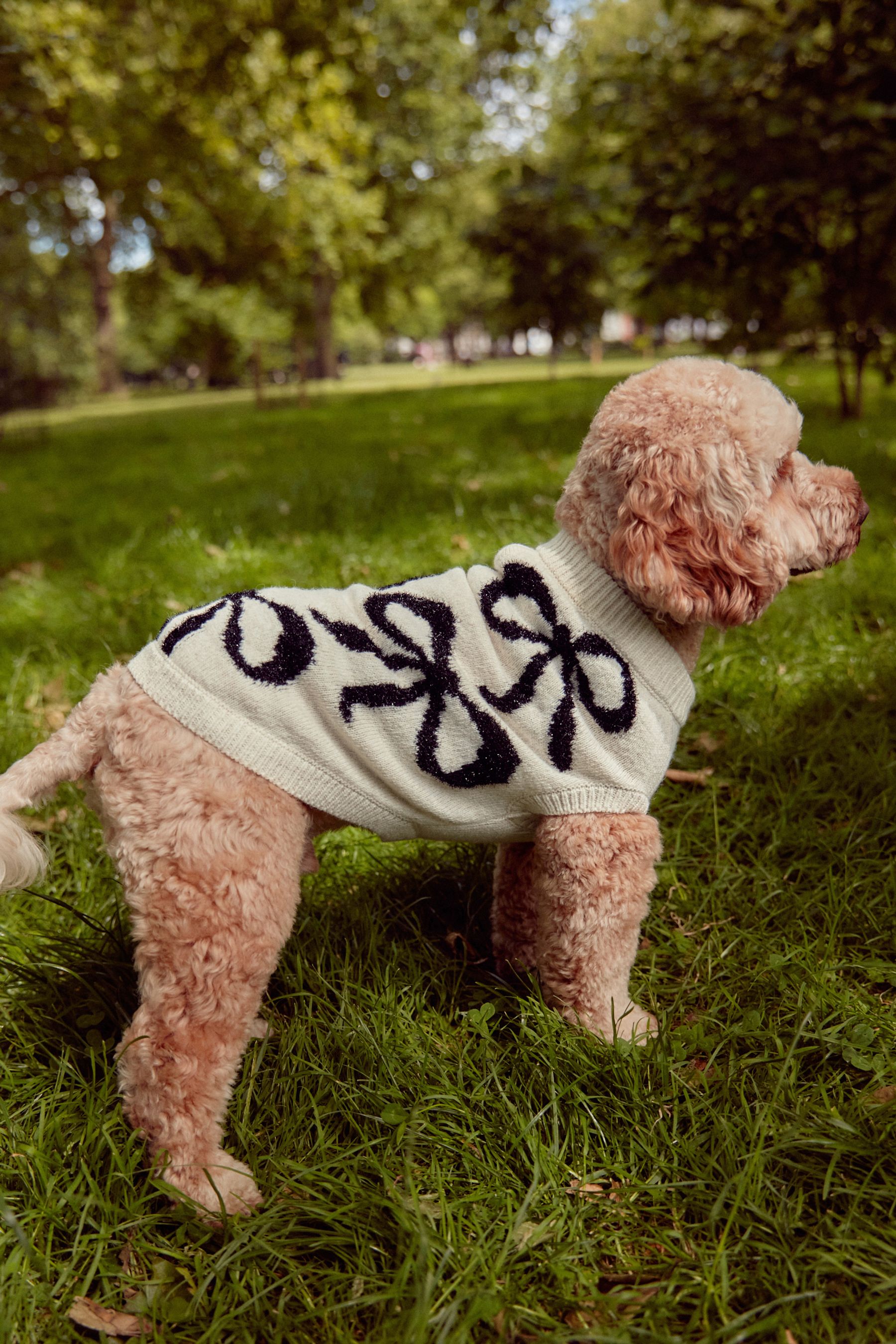 White and Black Tinsel Bow Christmas Dog Jumper