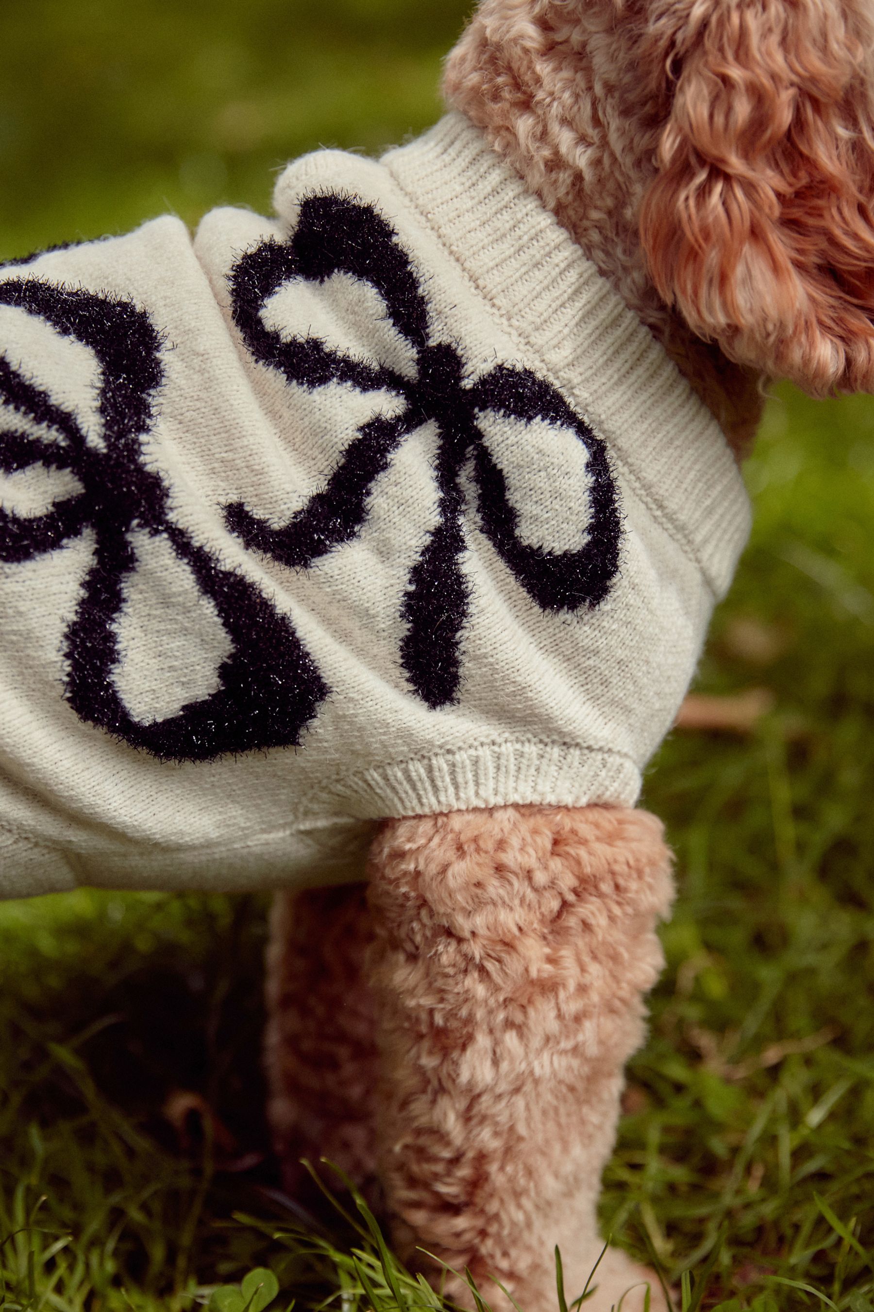 Pull motif chien clearance