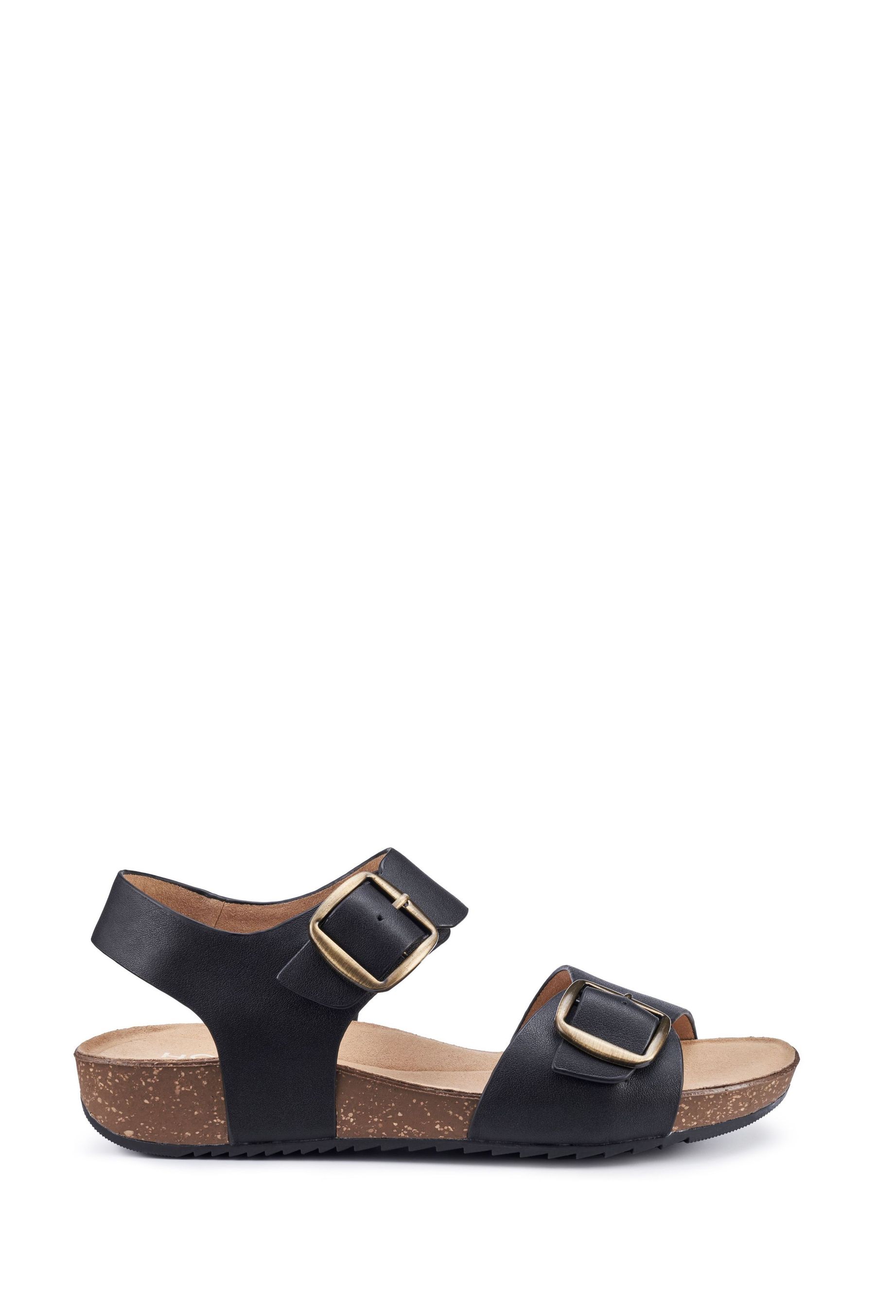 Buy Hotter Black Regular Fit Tourist II Buckle Sandals from the Next UK online shop