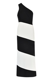 Ro&Zo Sofia Mono Stripe One Shoulder Maxi Dress - Image 6 of 6