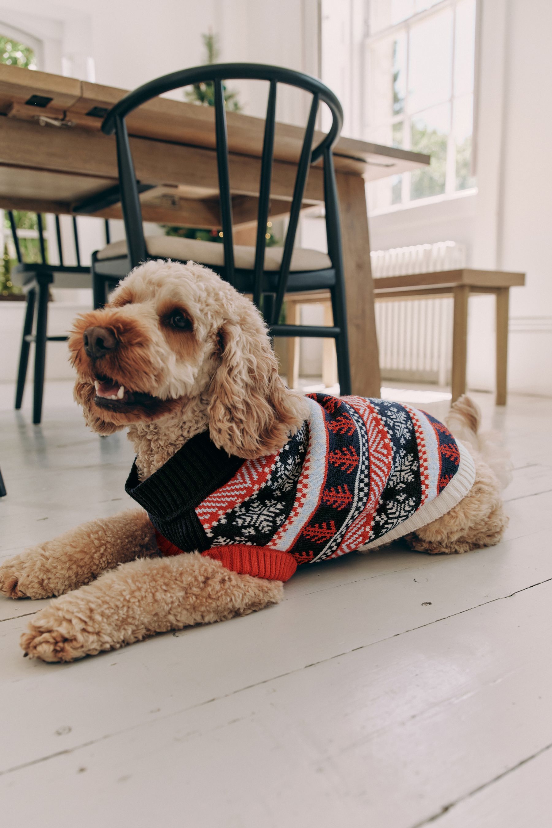 Next dog christmas jumper 2025