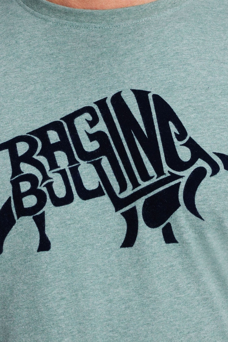 Raging Bull Grey Classic Organic T-Shirt - Image 5 of 5