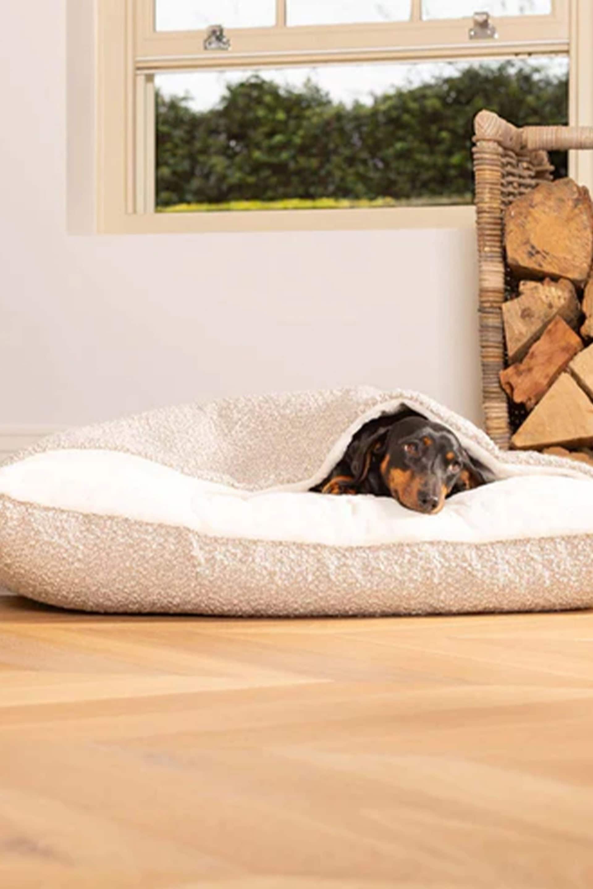 Lords and Labradors Mink Boucle Sleepy Burrows Dog Bed - Image 1 of 2