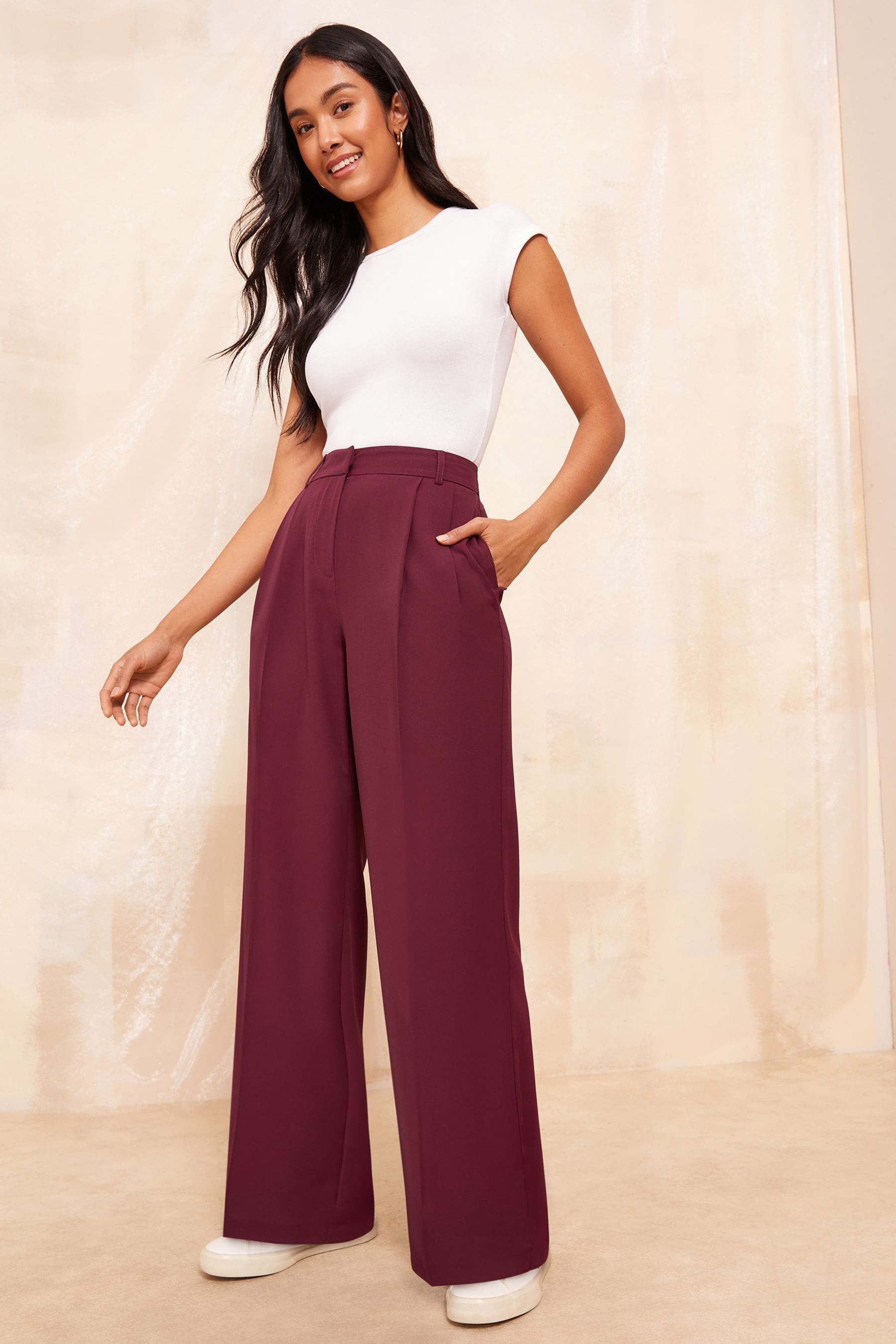 Buy Friends Like These Red Premium Wide Leg Smart Trousers from Next Luxembourg