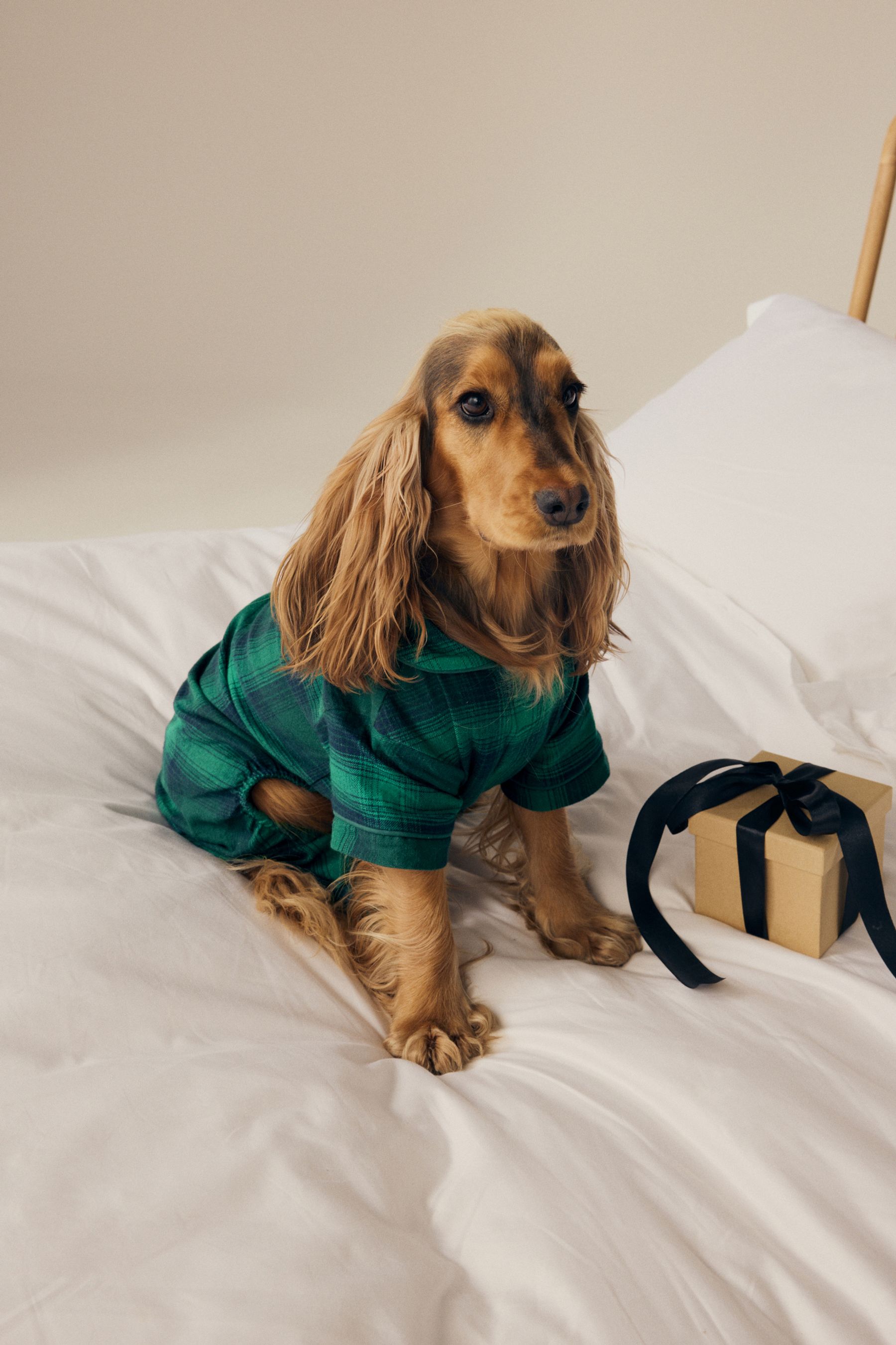 Buy Green Navy Check Matching Family Pet 100 Cotton Pyjamas from Next Luxembourg
