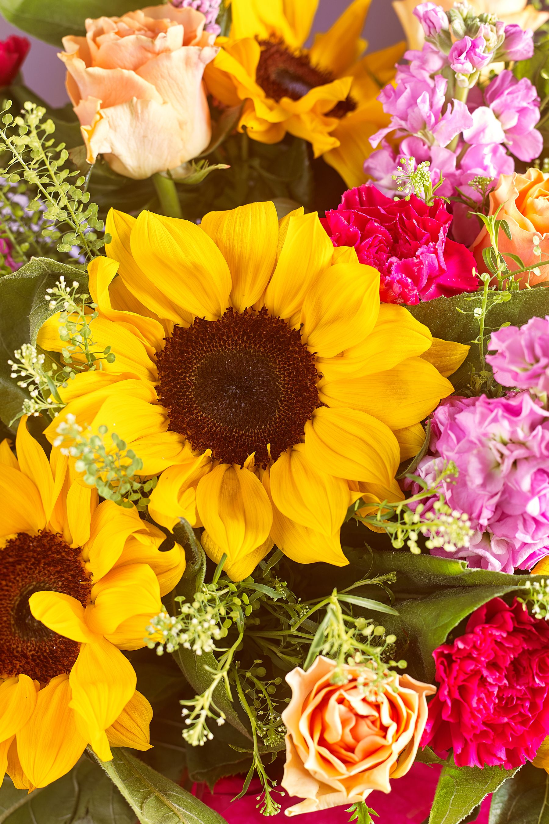 Buy Lucy Tiffney Bright Sunflower Fresh Flower Bouquet in Gift Bag from