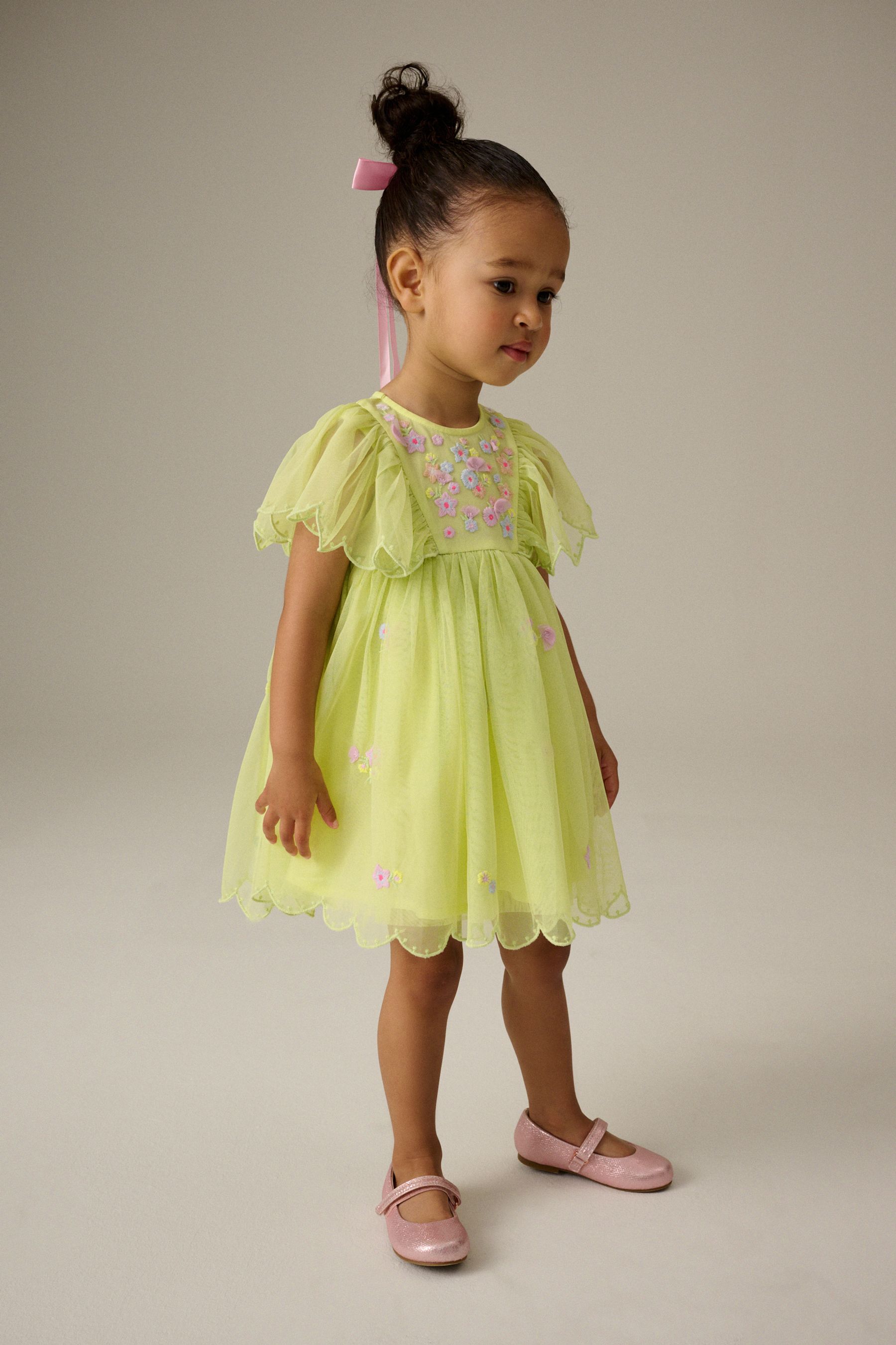 Buy Green Embroidered Mesh Party Dress 3mths 7yrs from Next Luxembourg