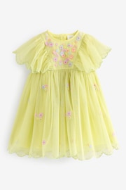 Green Embroidered Mesh Party Dress (3mths-7yrs) - Image 1 of 4