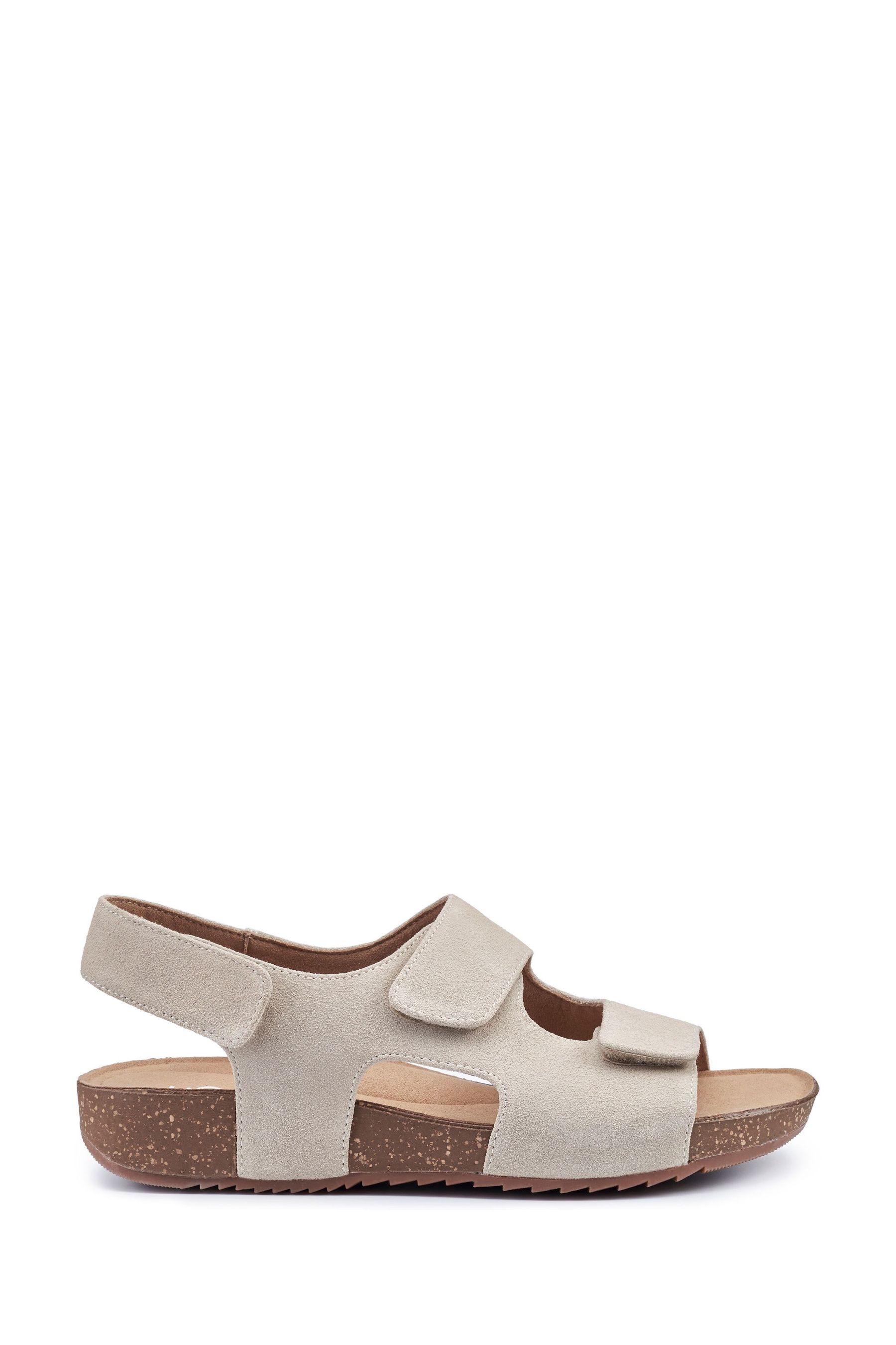 Buy Hotter Natural Regular Fit Explore Touch Fastening Sandals from Next Belgium